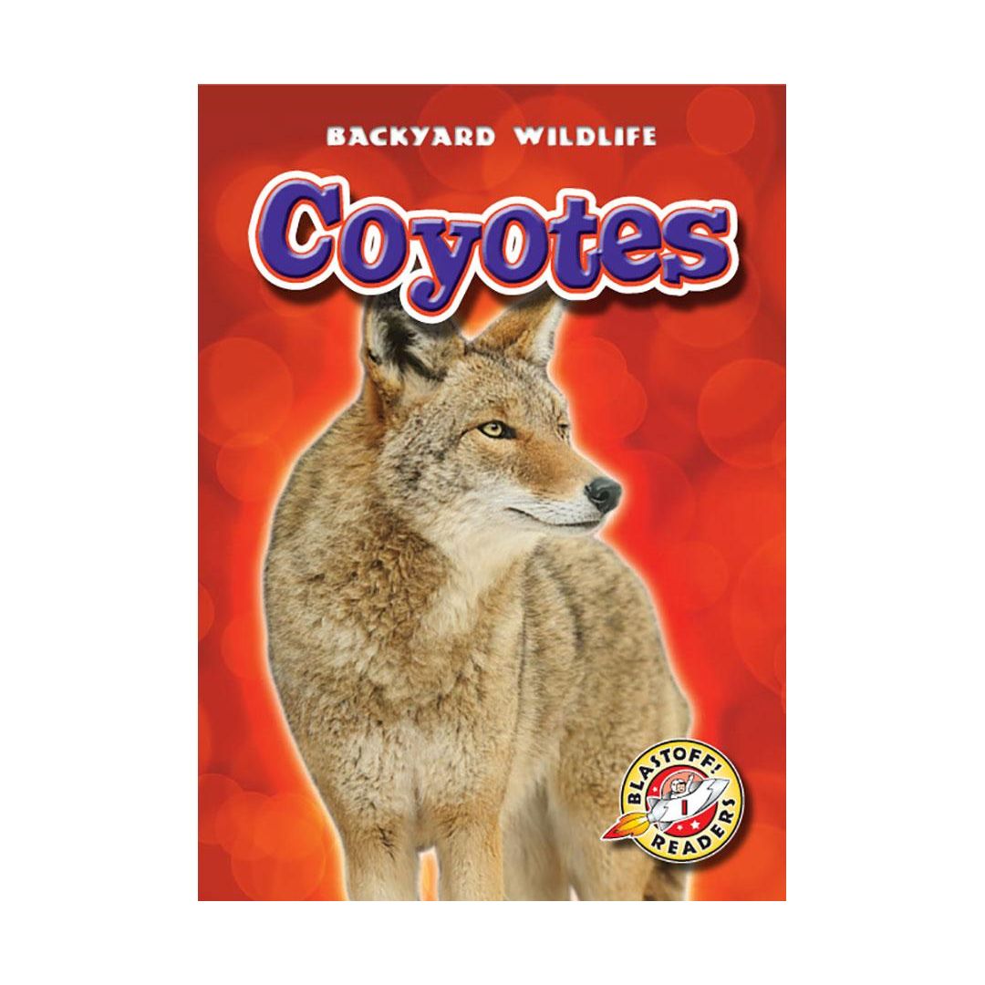 Coyotes