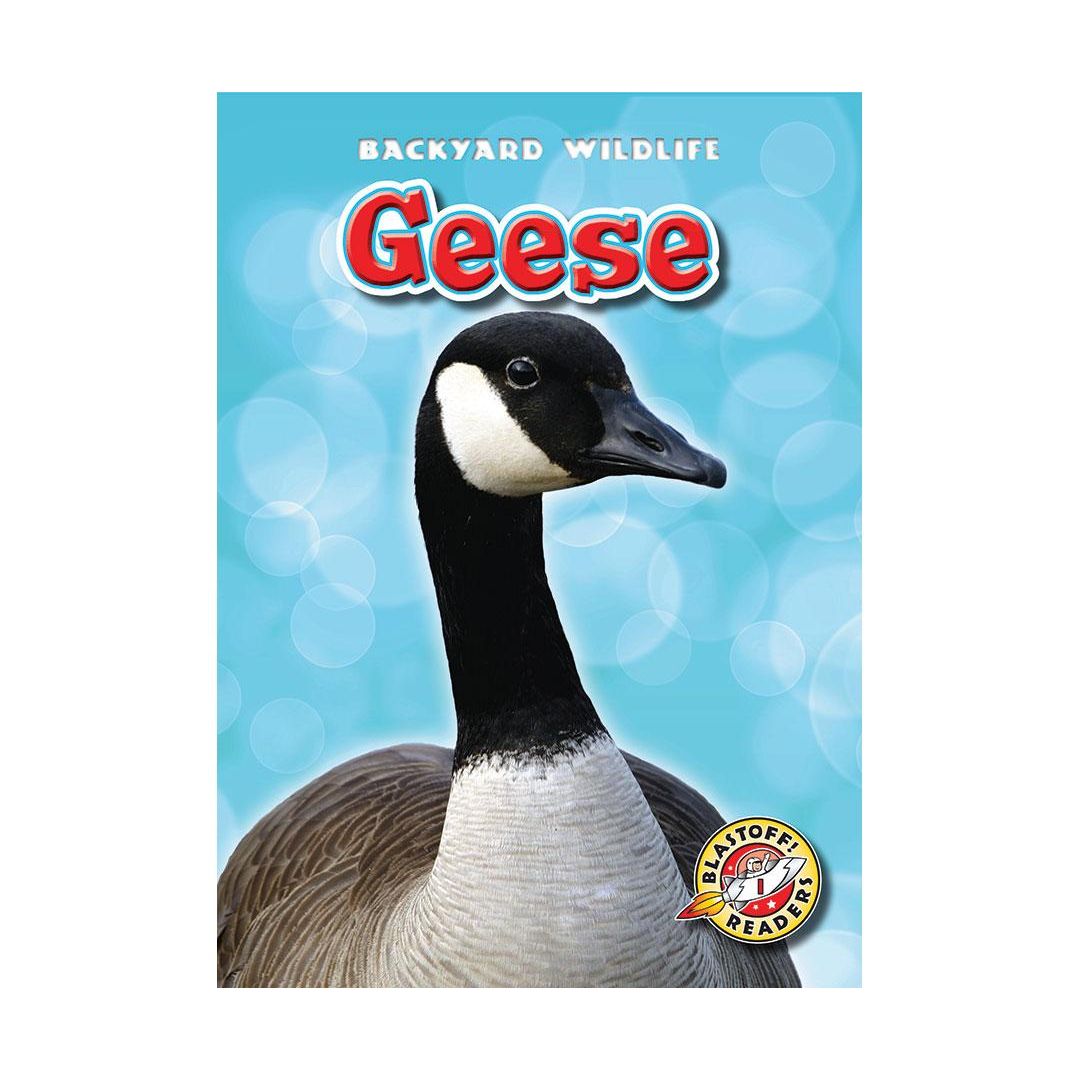 Geese