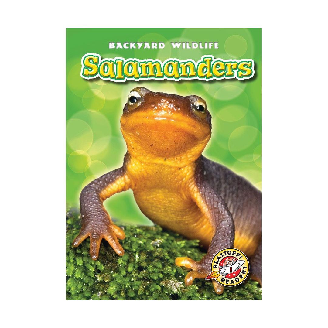 Salamanders