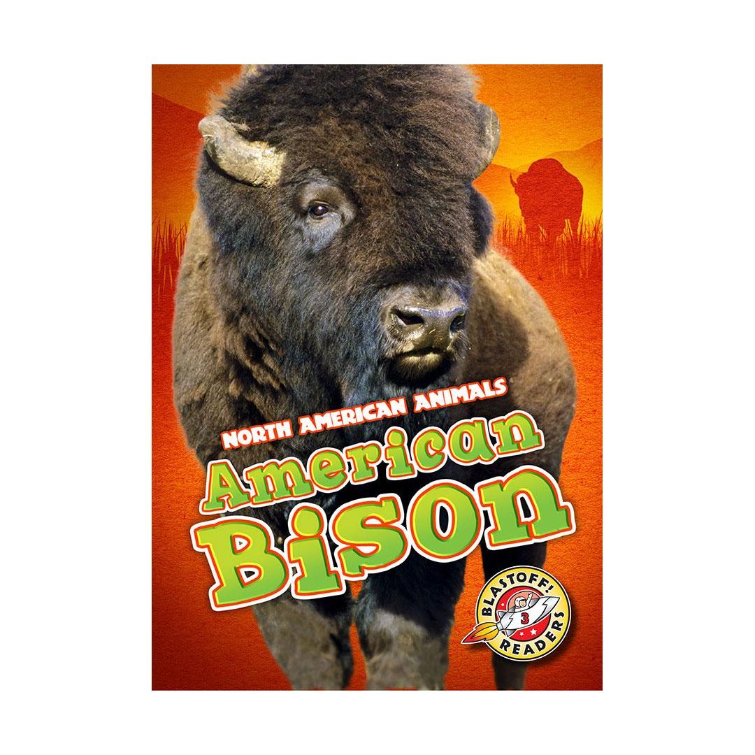 American Bison