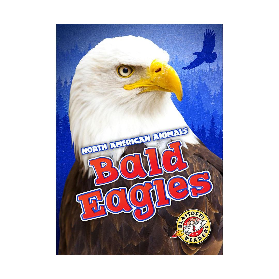 Bald Eagles