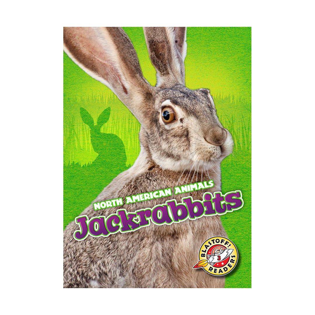 Jackrabbits