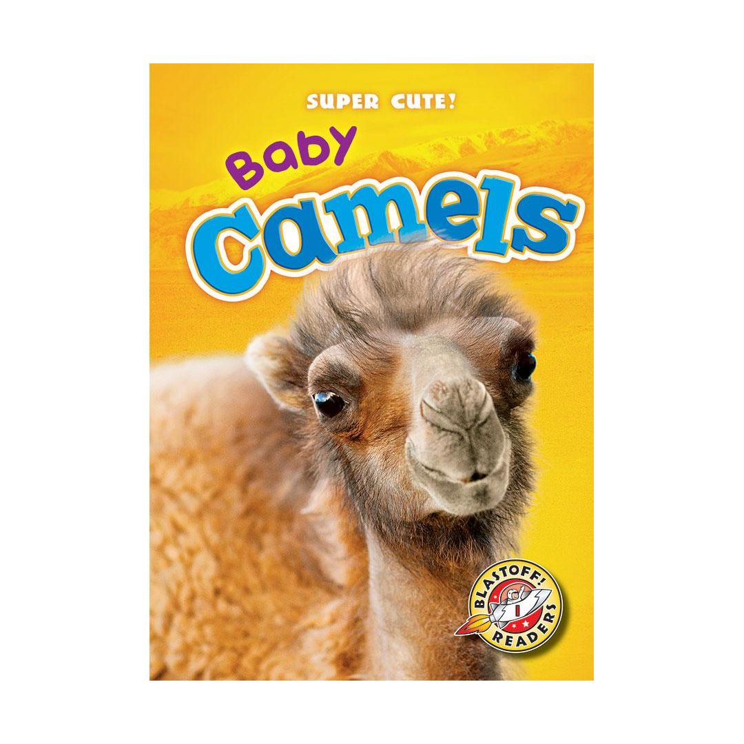 Baby Camels