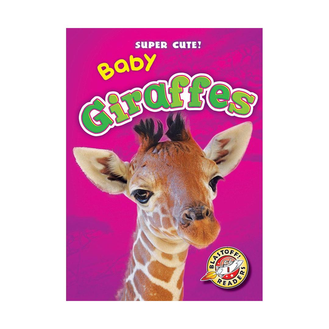 Baby Giraffes