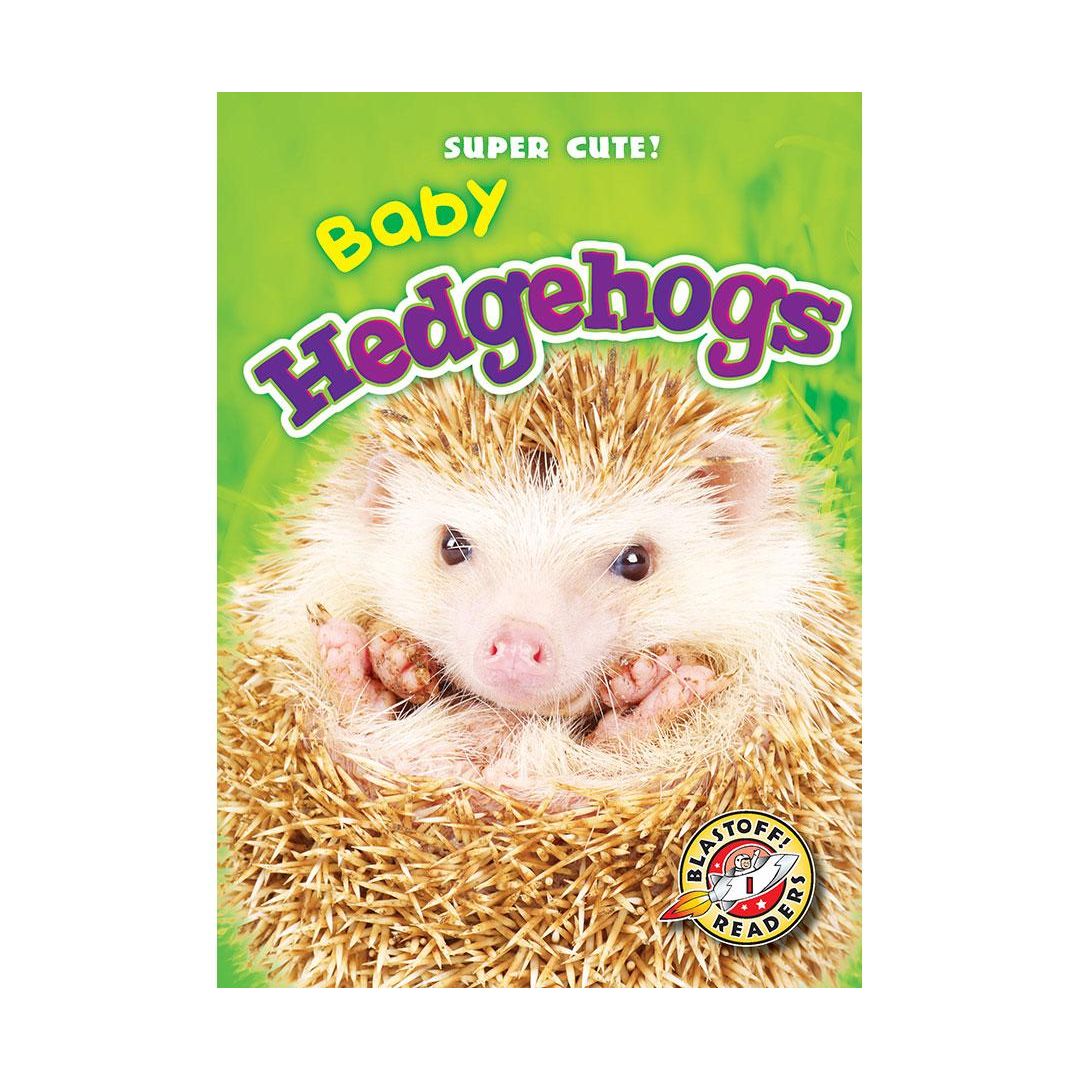 Baby Hedgehogs