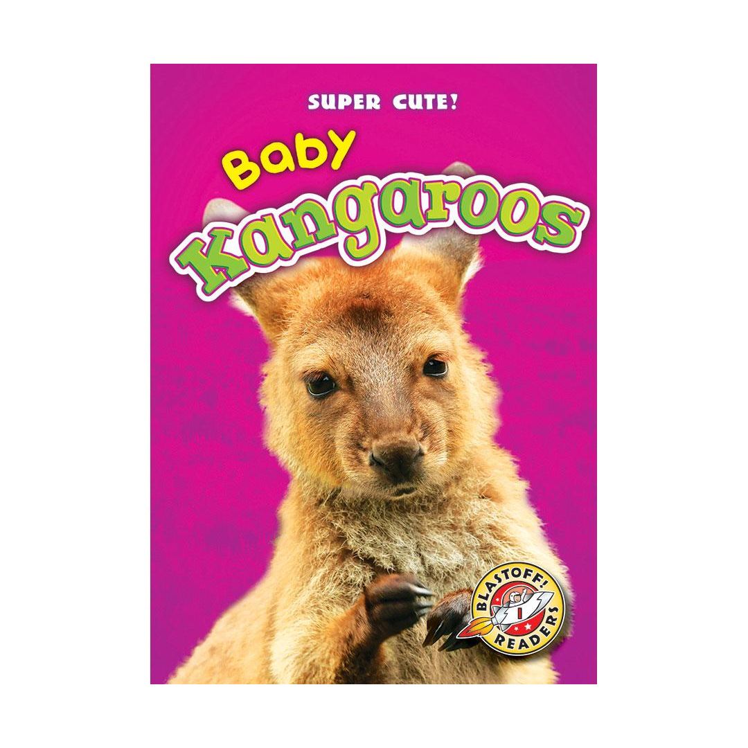 Baby Kangaroos
