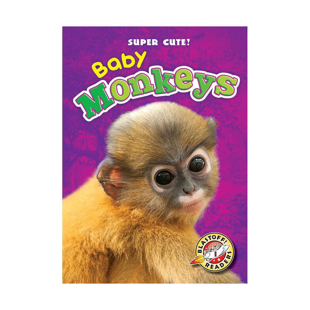 Baby Monkeys
