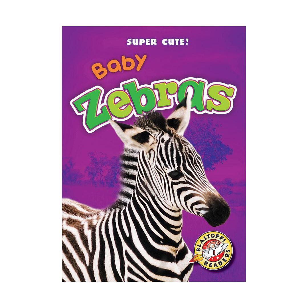 Baby Zebras