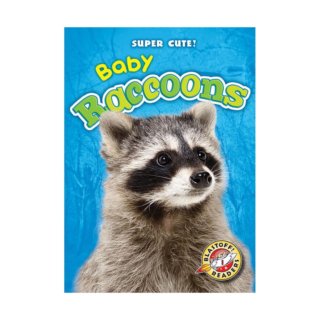Baby Raccoons