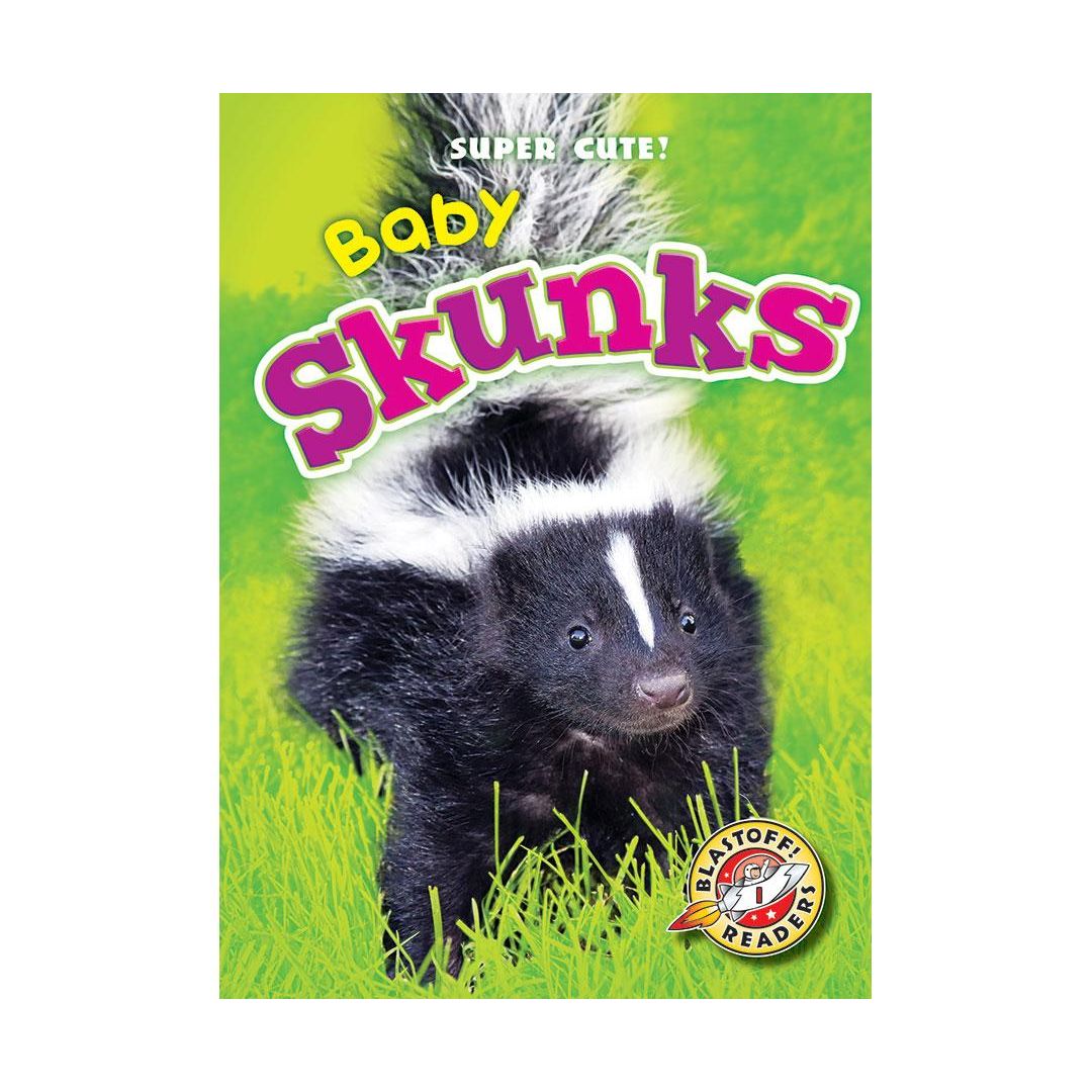 Baby Skunks