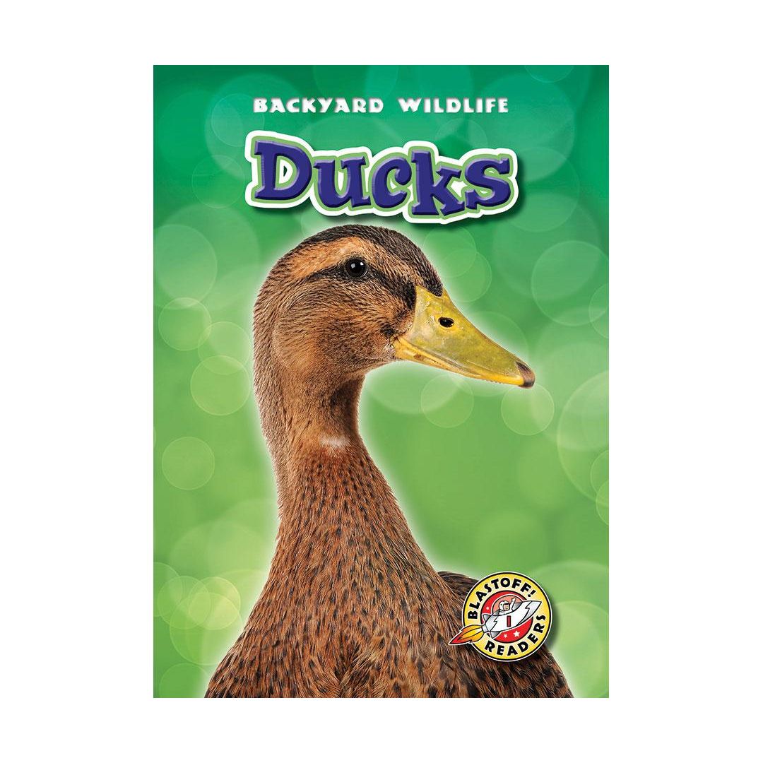 Ducks