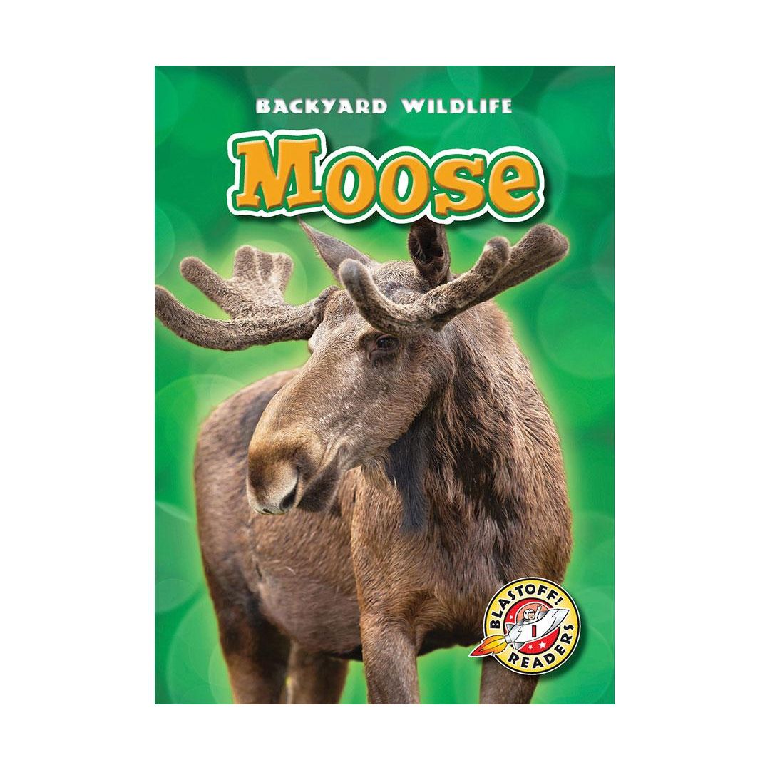 Moose