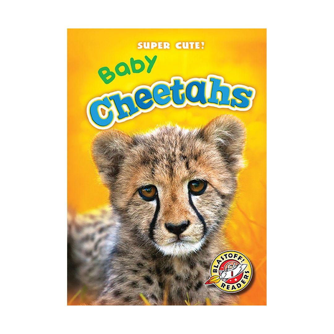 Baby Cheetahs