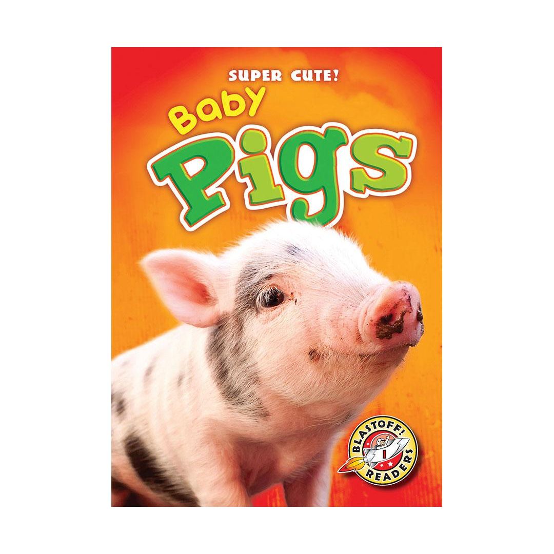 Baby Pigs