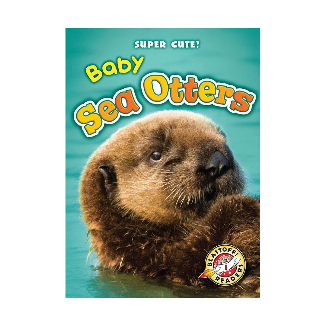 Baby Sea Otters