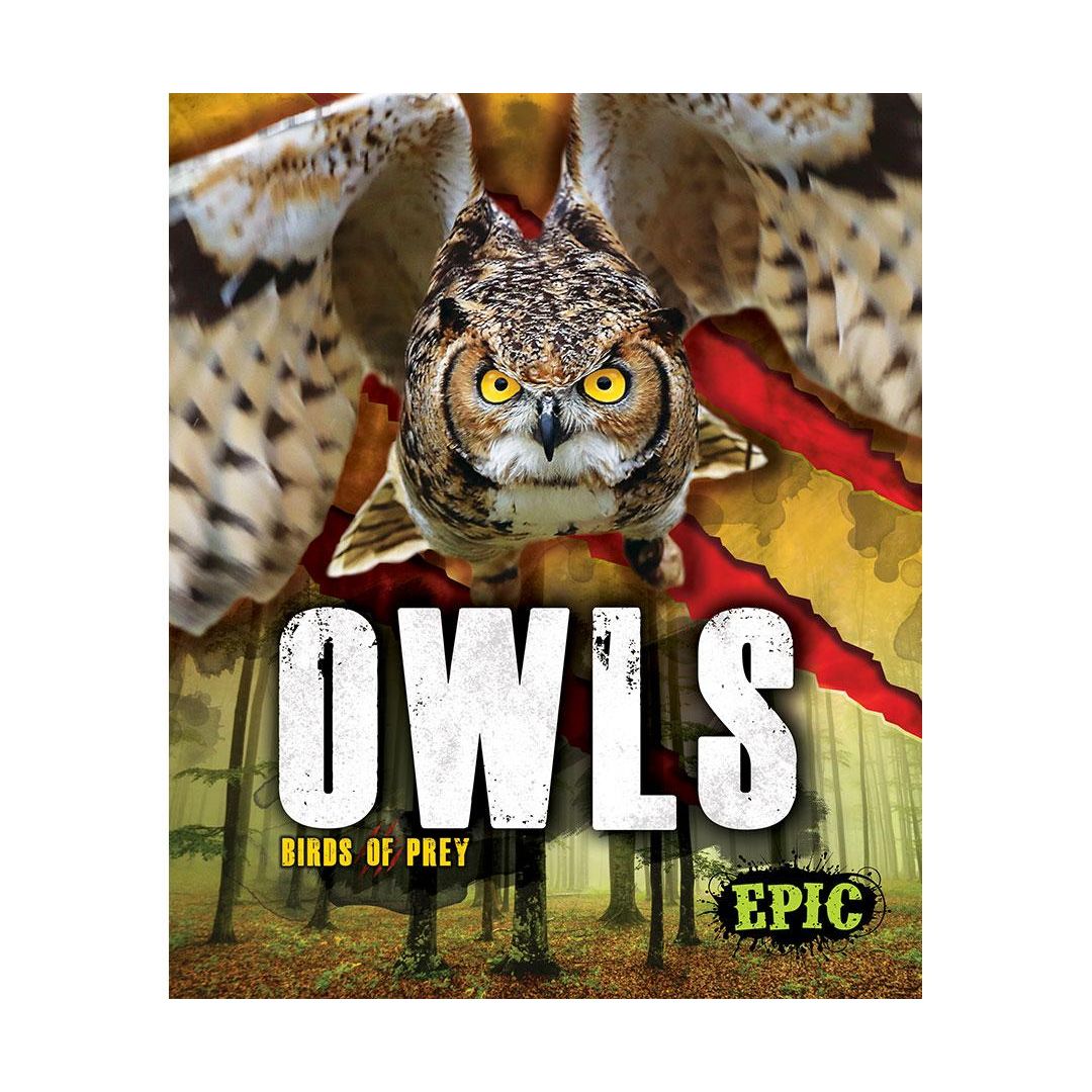 Owls