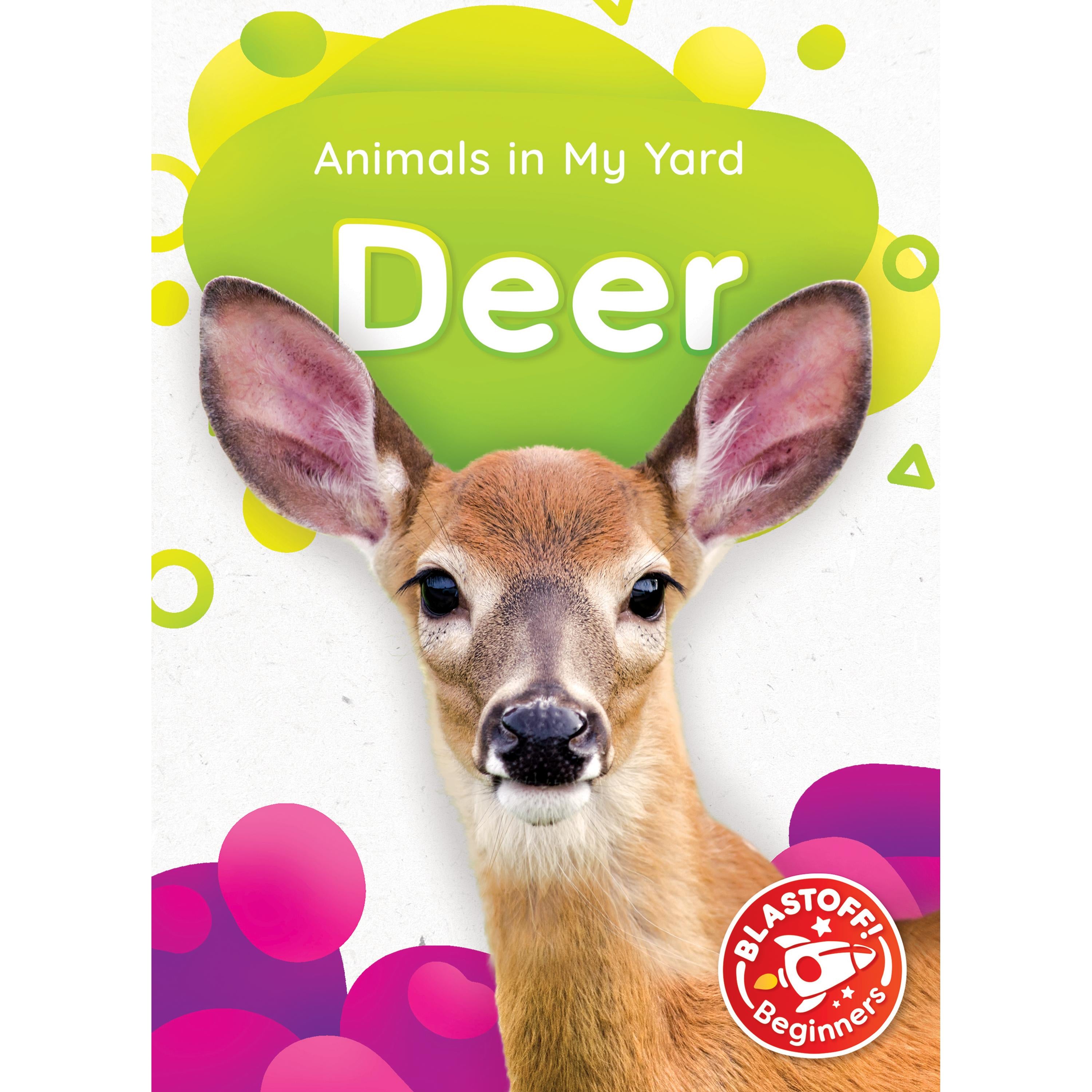 Deer
