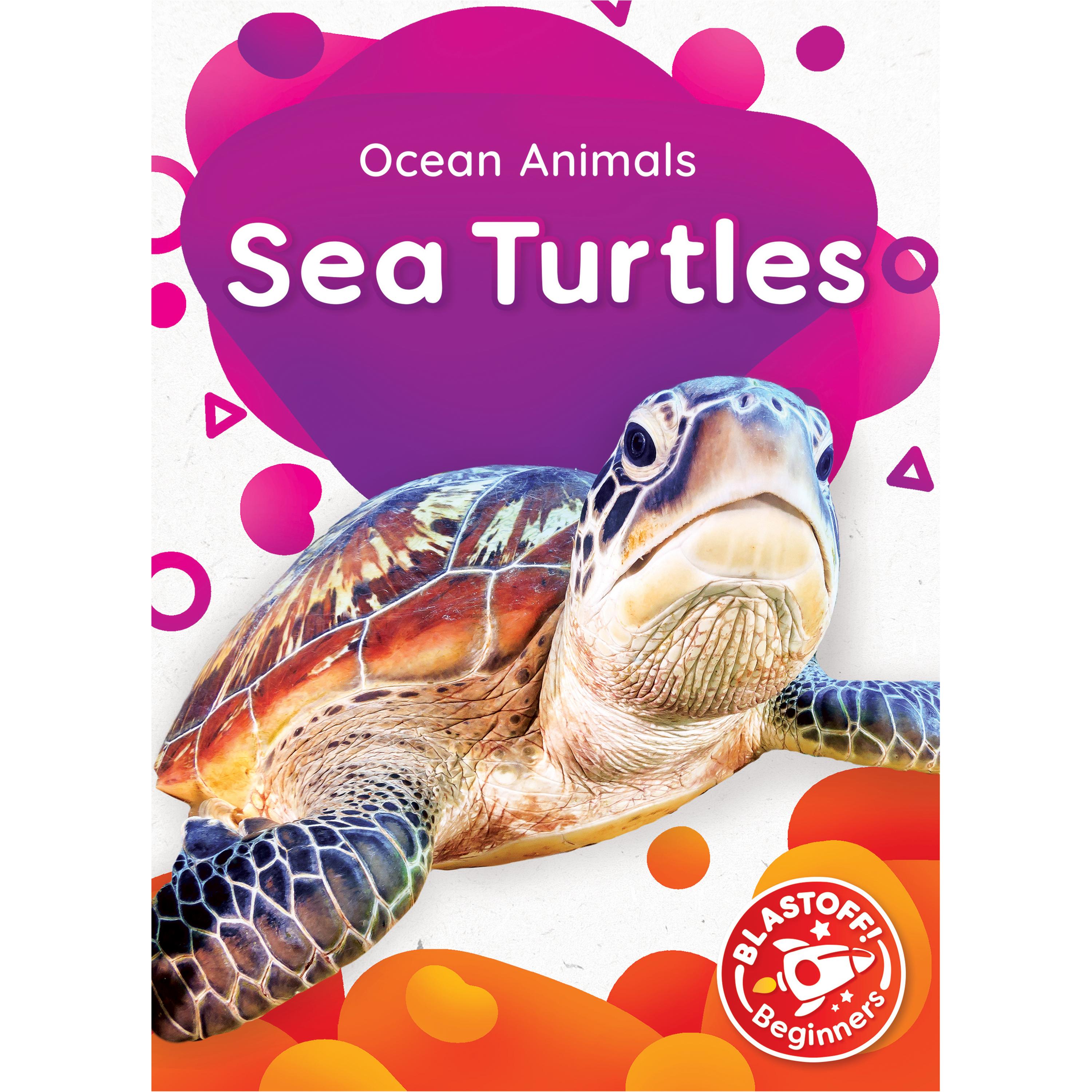 Sea Turtles