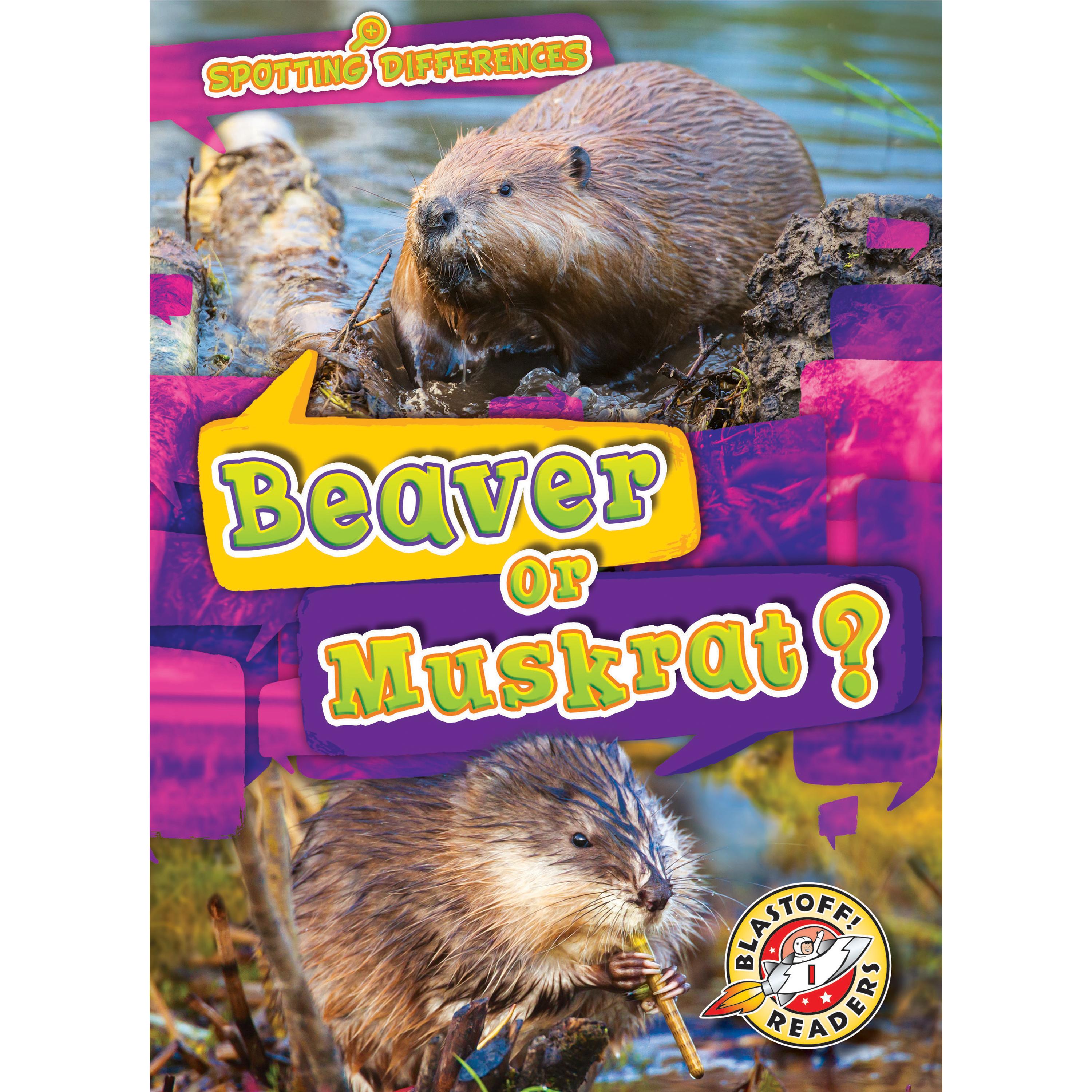 Beaver or Muskrat?