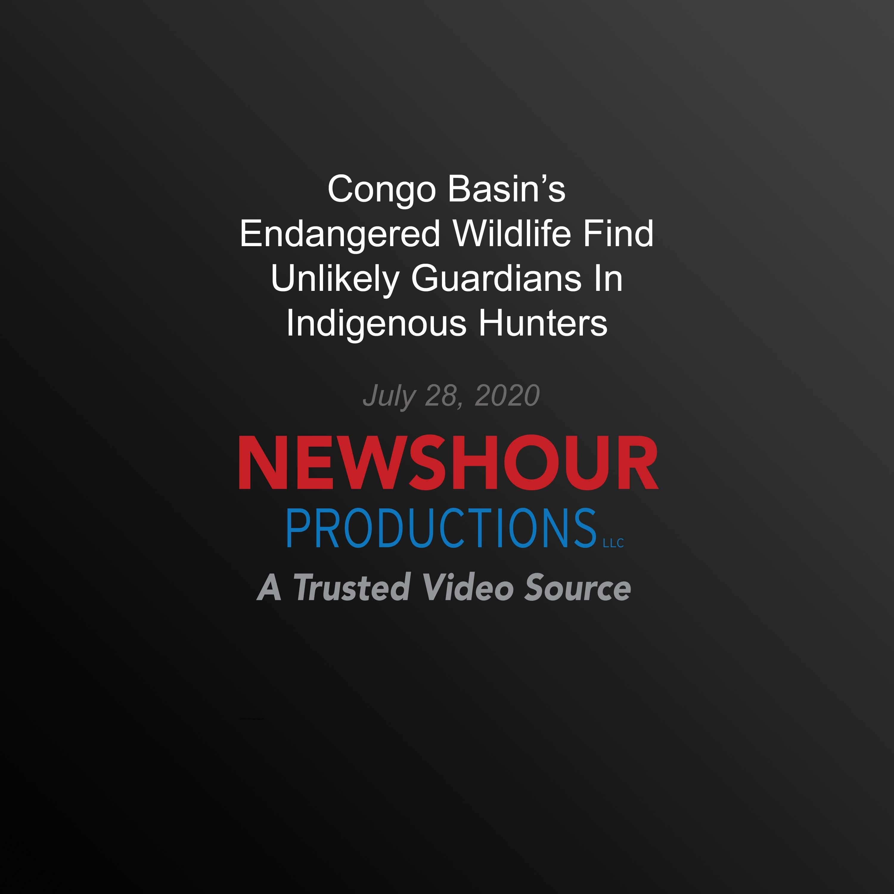 Congo Basin’s Endangered Wildlife Find Unlikely Guardians In Indigenous Hunters