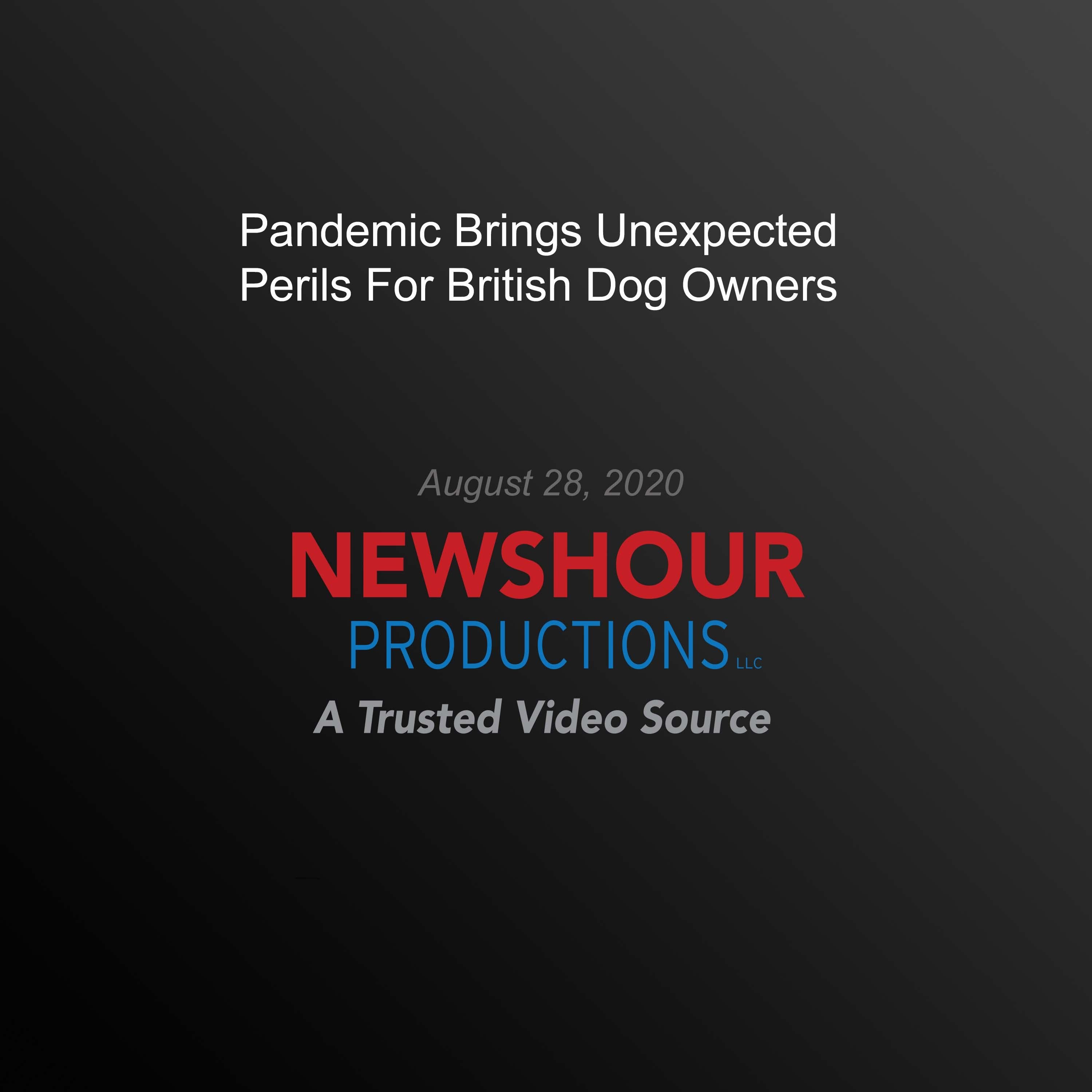 Pandemic Brings Unexpected Perils For British Dog Owners