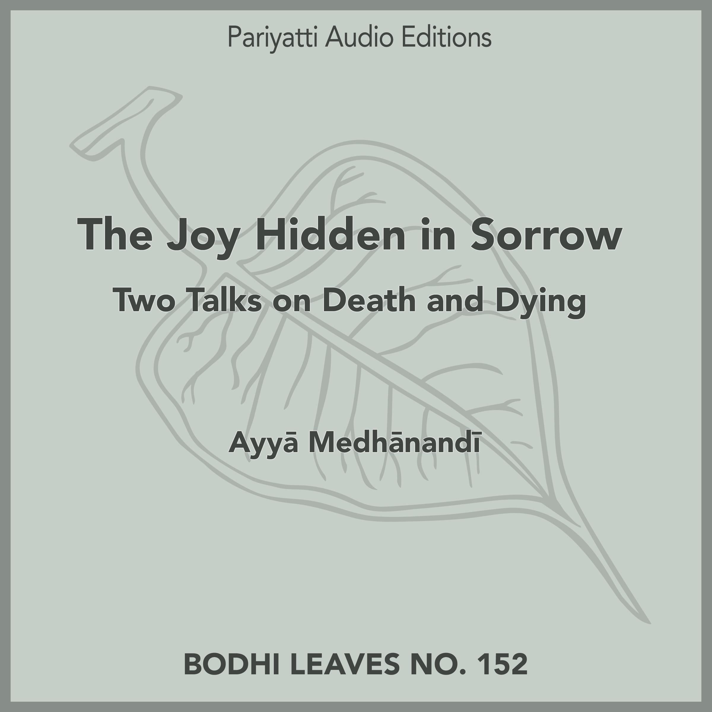 The Joy Hidden in Sorrow