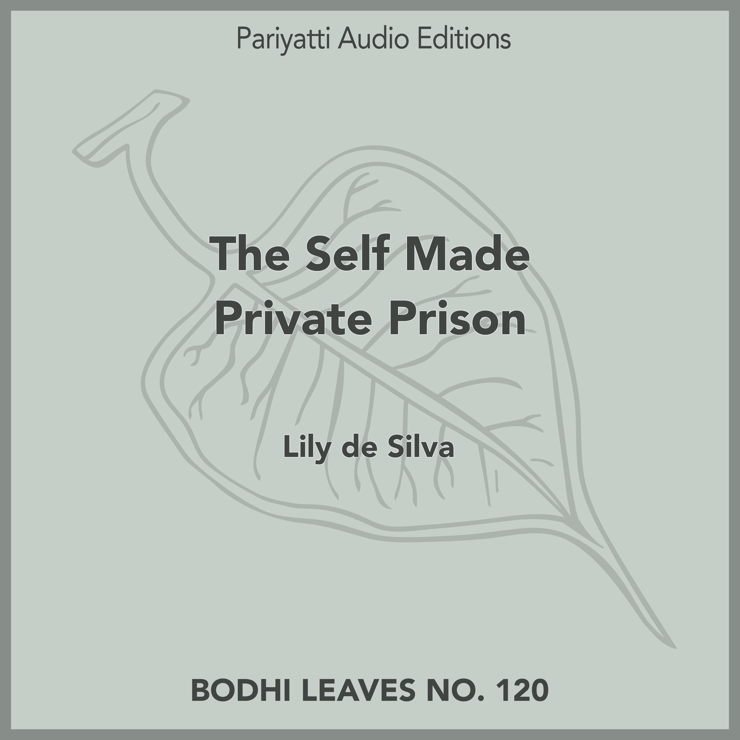 The Self Made Private Prison