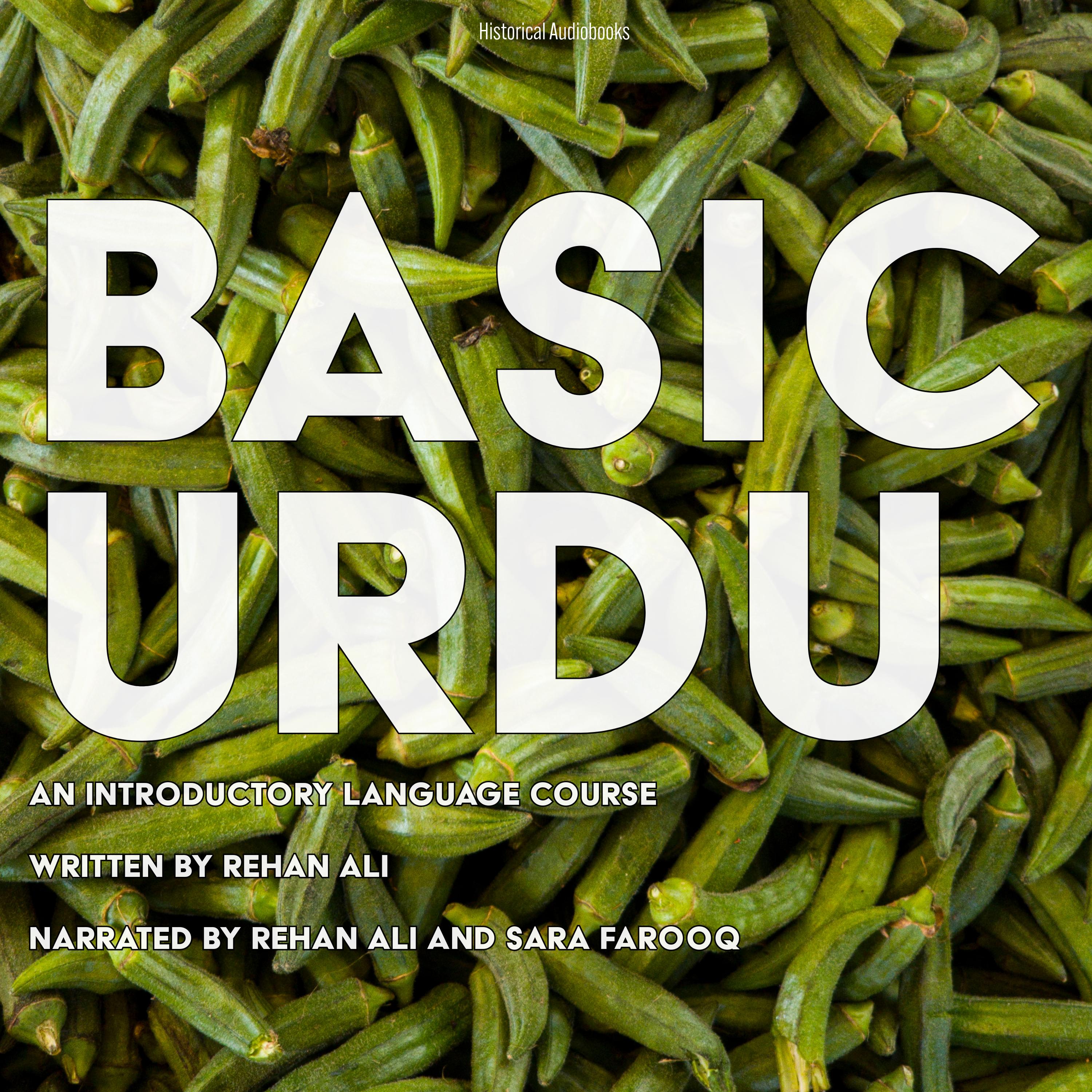 Basic Urdu