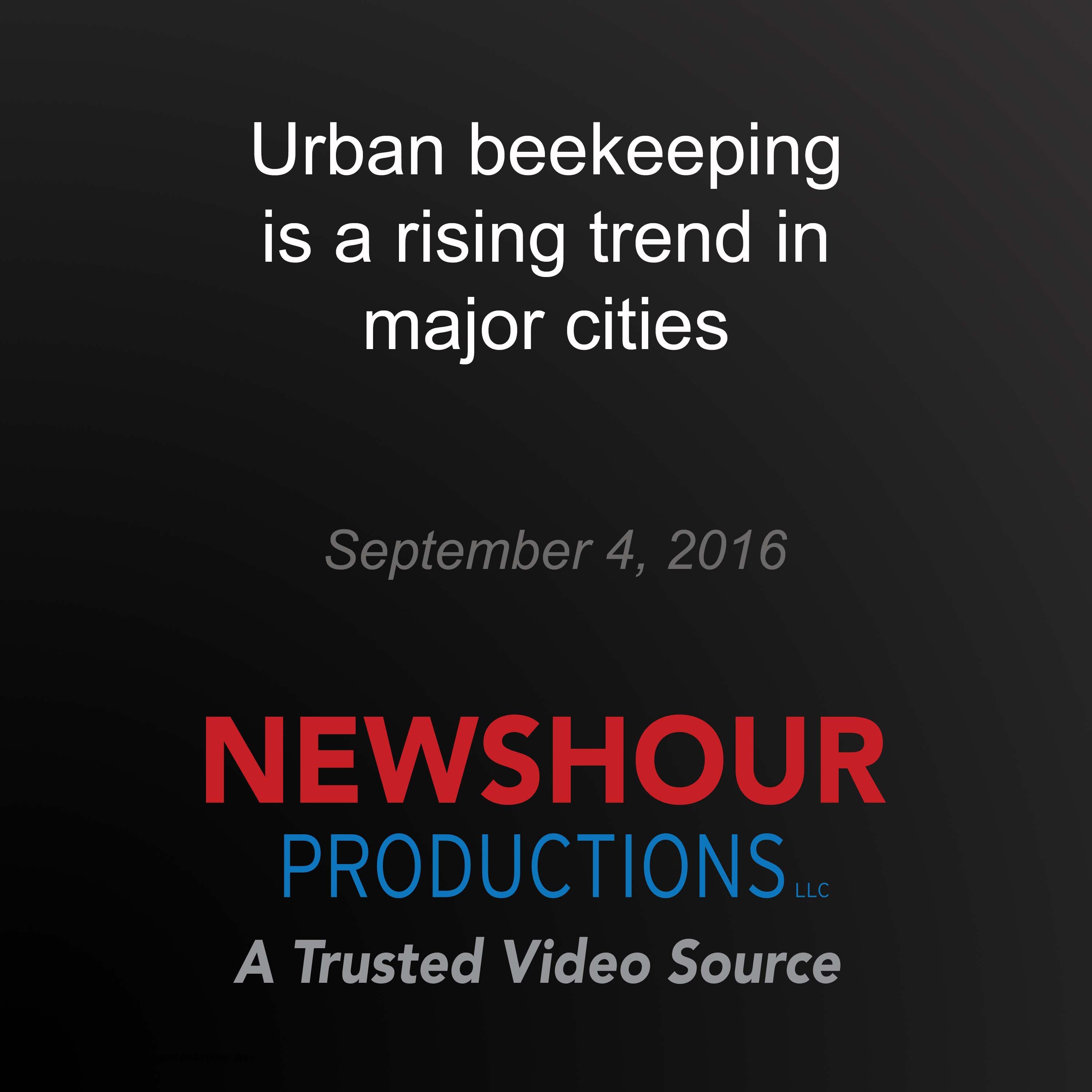Urban beekeeping is a rising trend in major cities