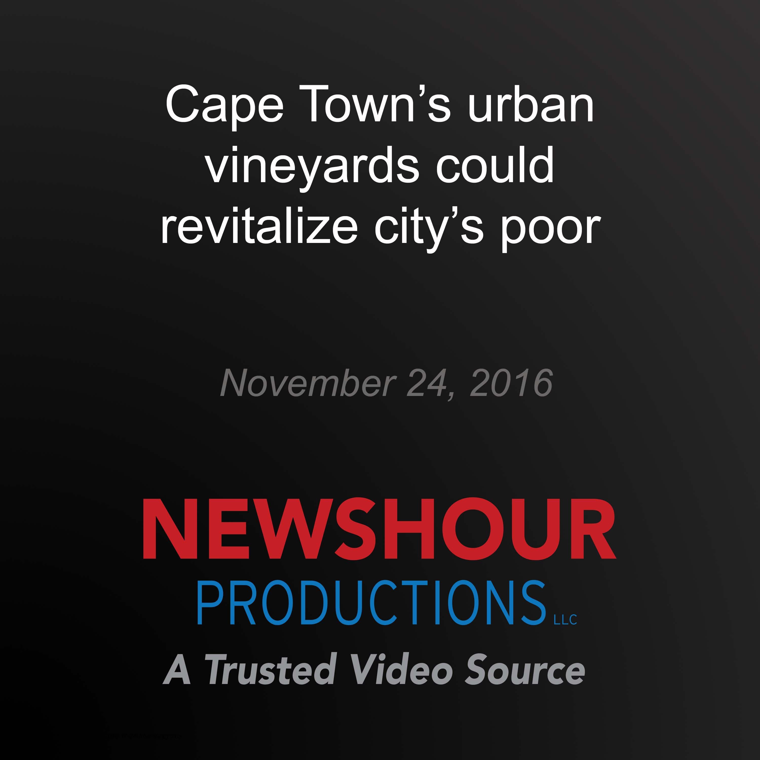 Cape Town's urban vineyards could revitalize city's poor