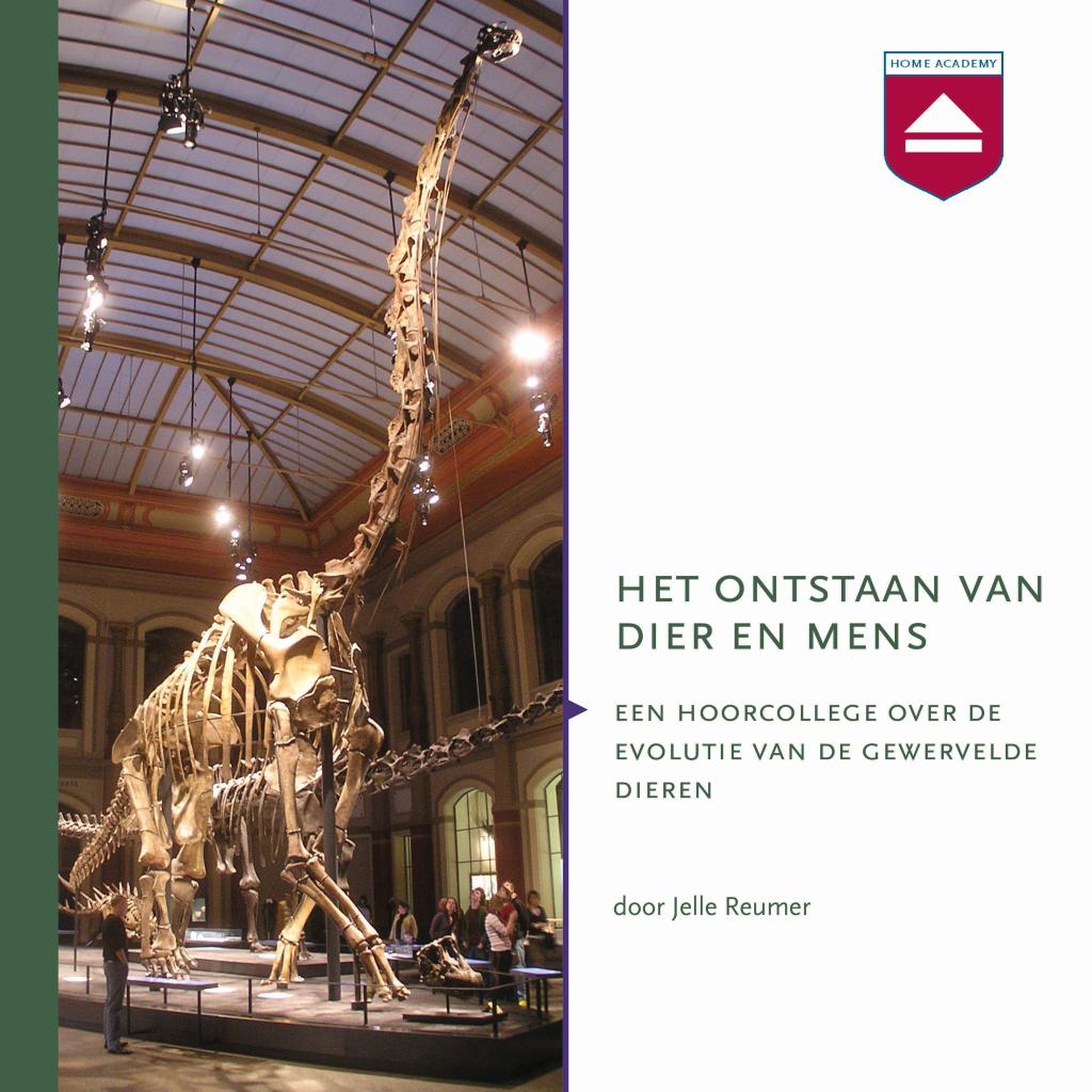 Het ontstaan van dier en mens