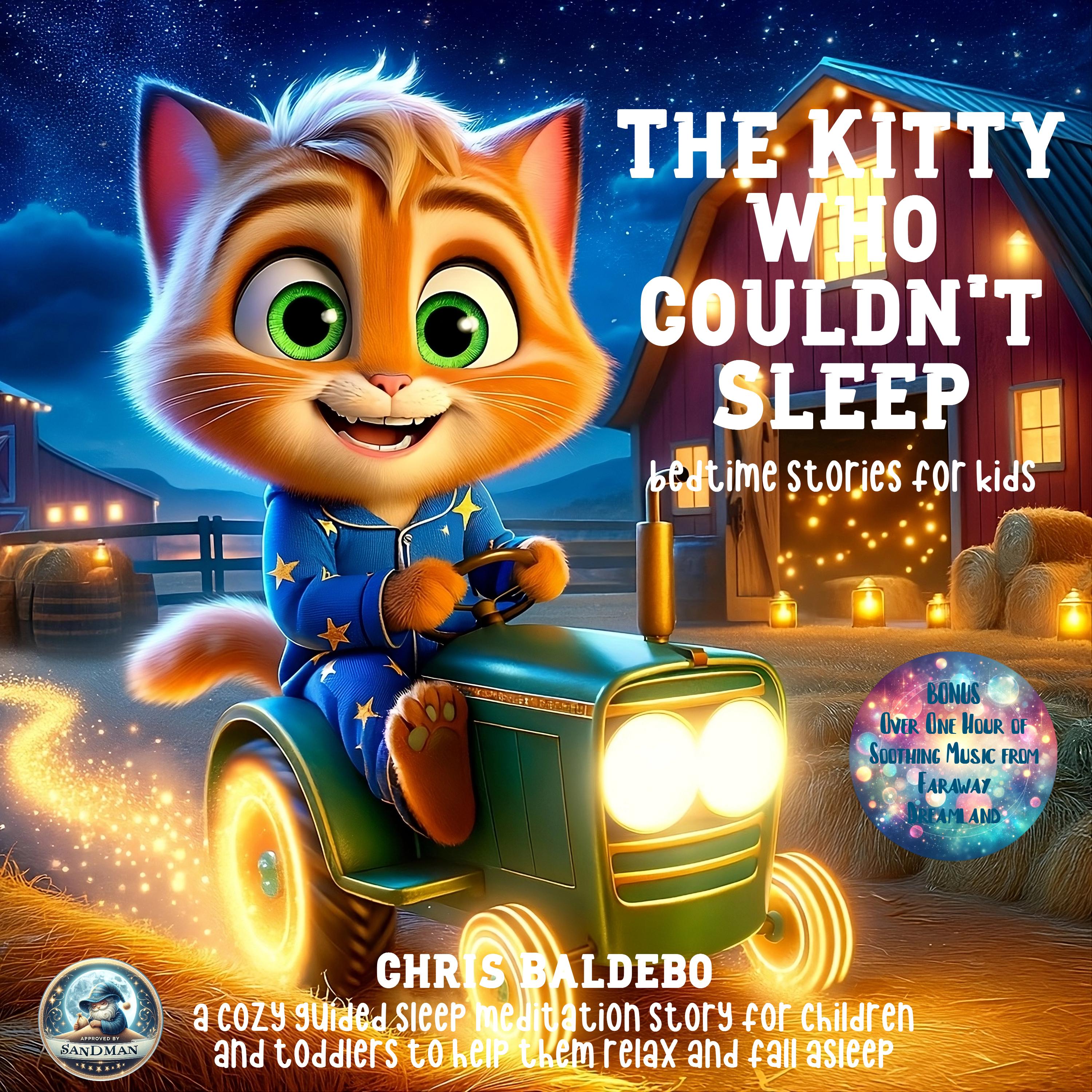 The Kitty Who Couldn´t Sleep: Bedtime Stories for Kids