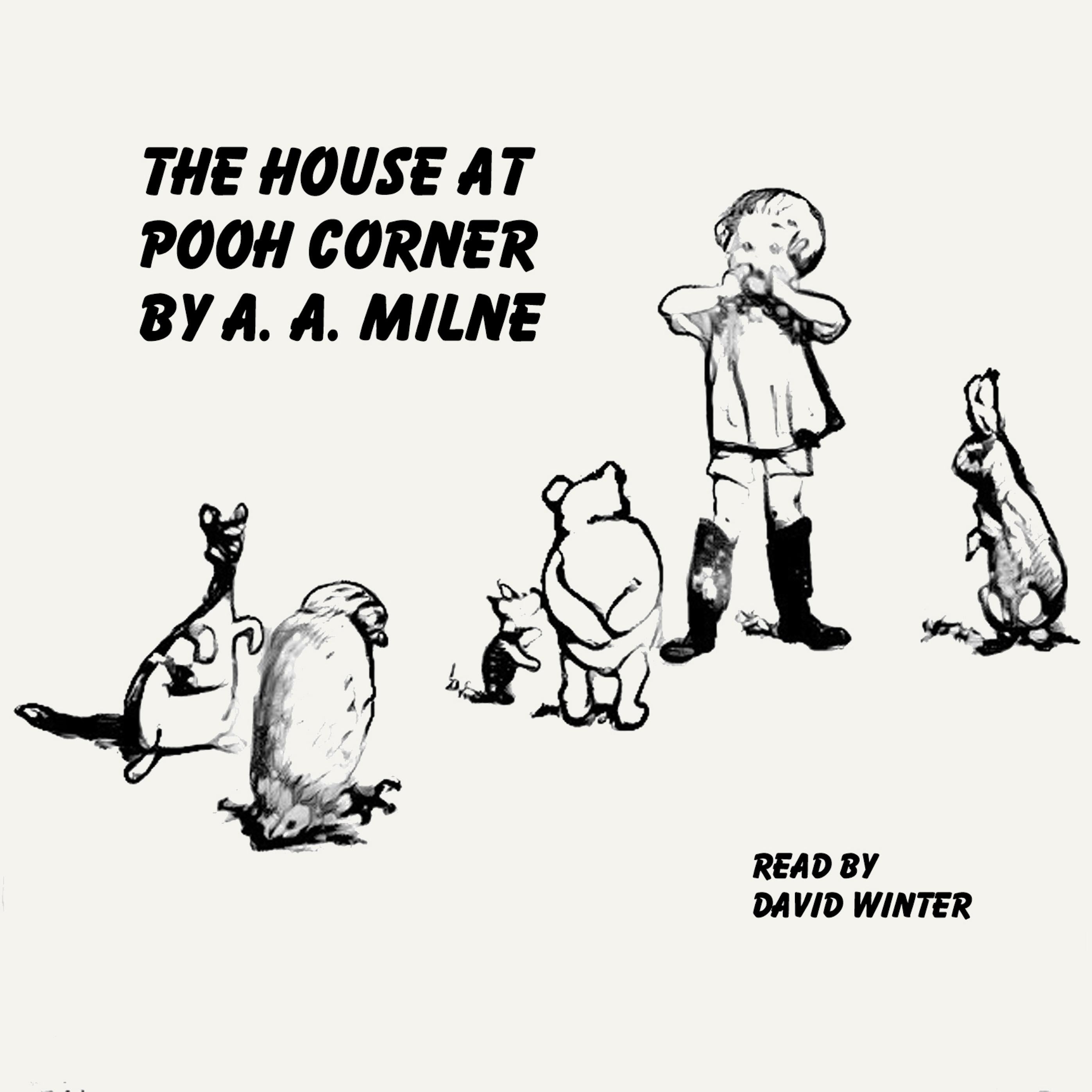 The House at Pooh Corner