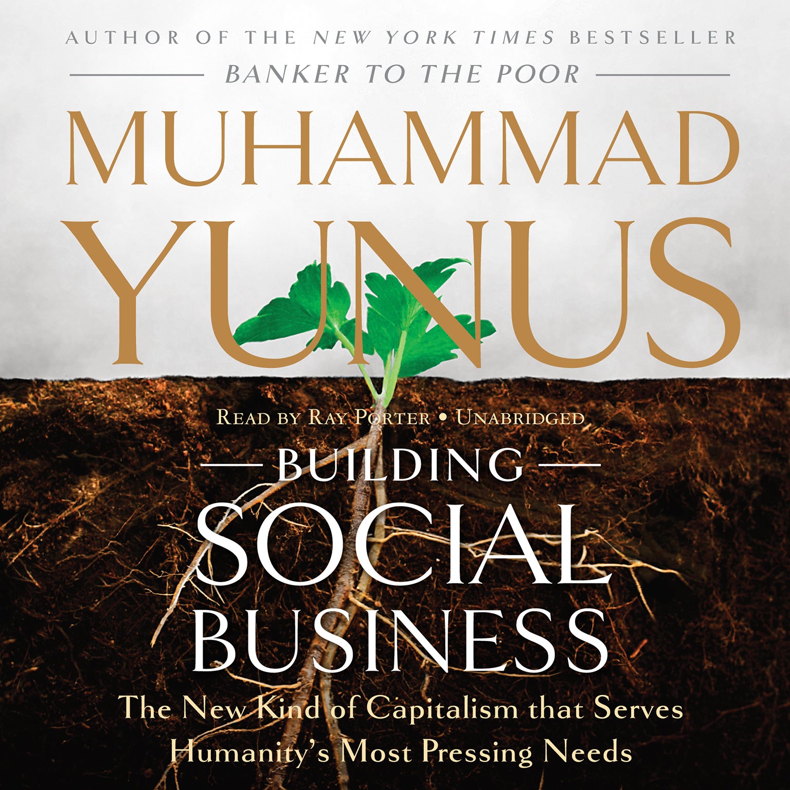 Building Social Business
