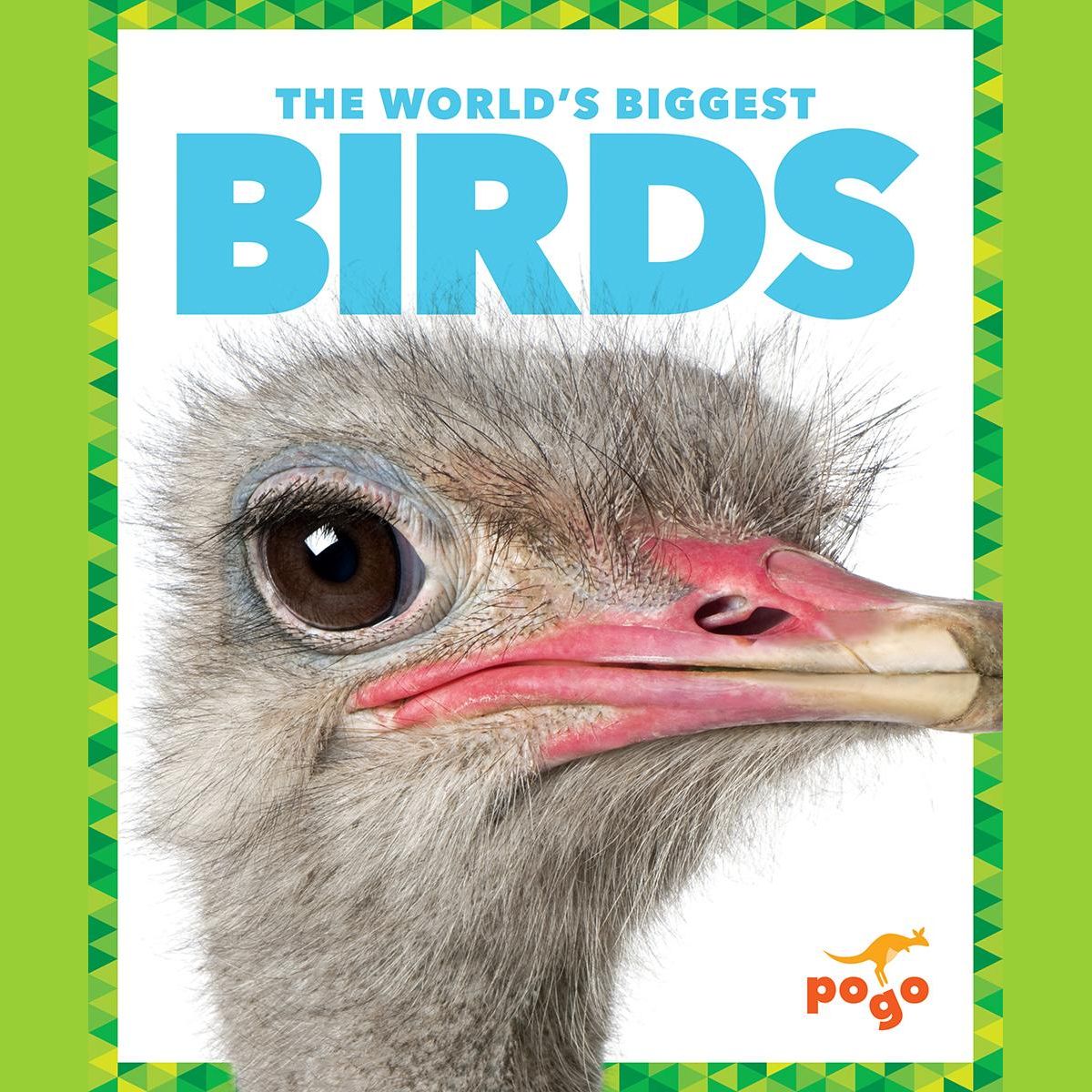 The World's Biggest Birds