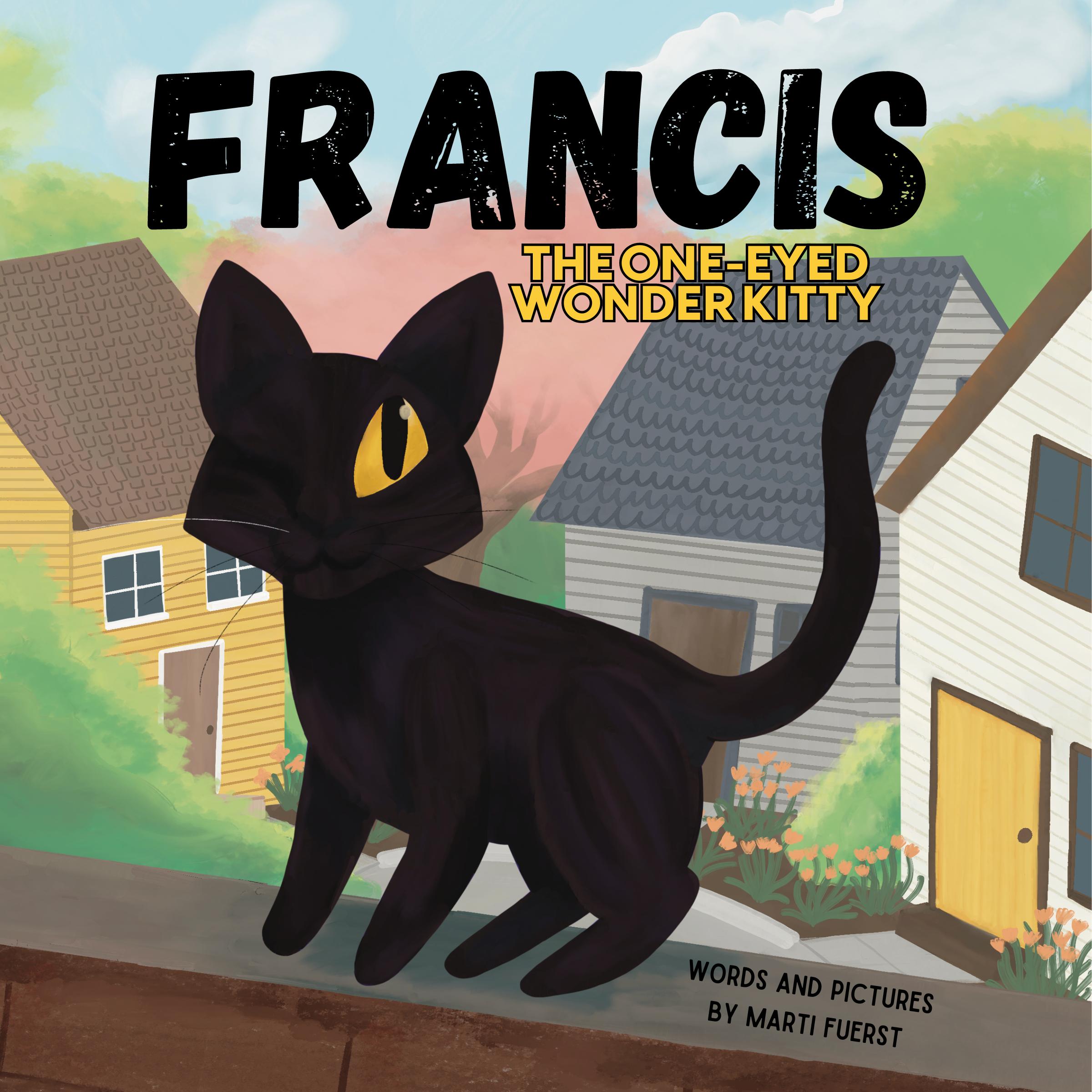 Francis the One-Eyed Wonder Kitty