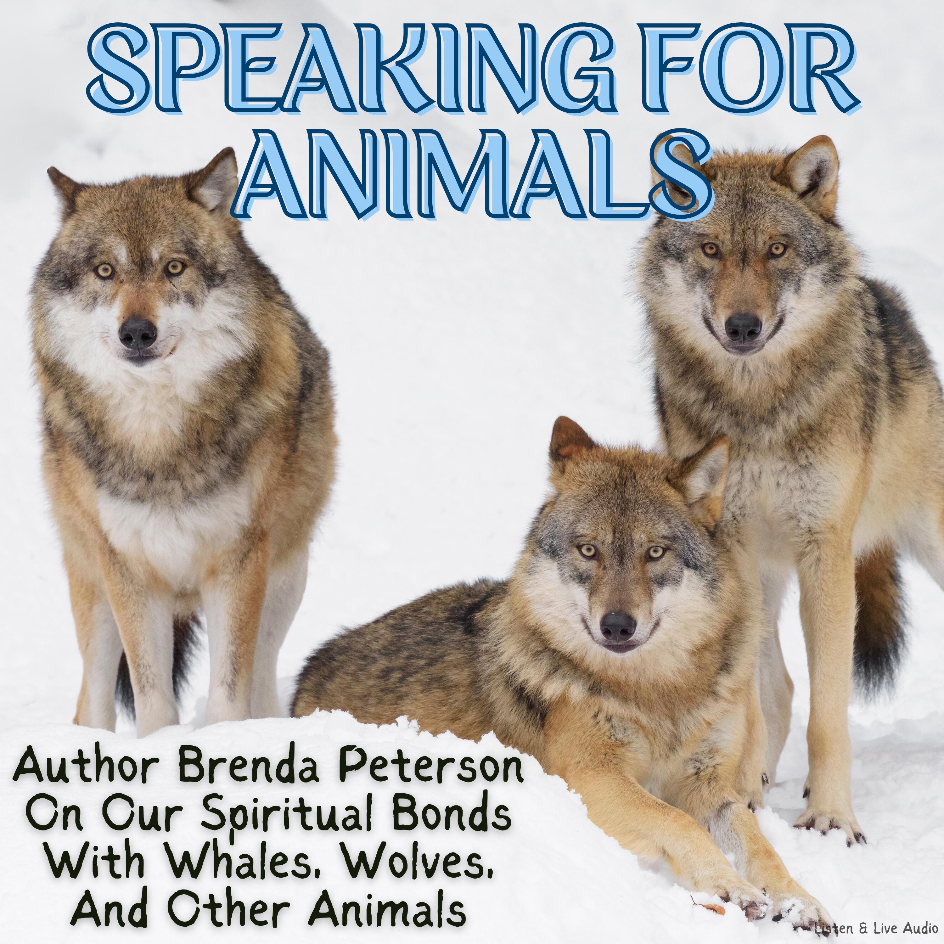 Speaking for Animals: Author Brenda Peterson on Our Spiritual Bonds with Whales, Wolves, Birds, and Other Animals