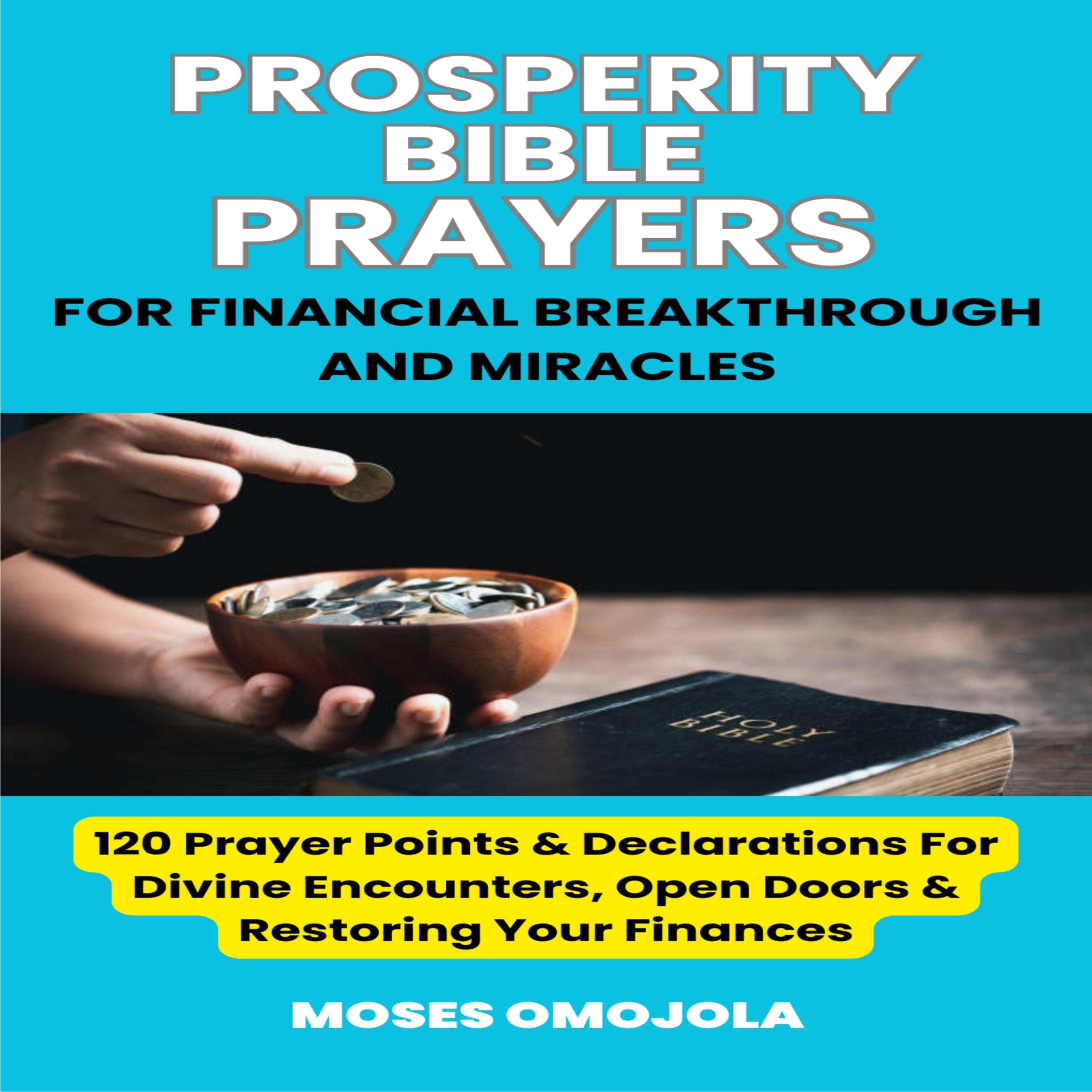Prosperity Bible Prayers For Financial Breakthrough And Miracles: 120 Prayer Points & Declarations For Divine Encounters, Open Doors & Restoring Your Finances