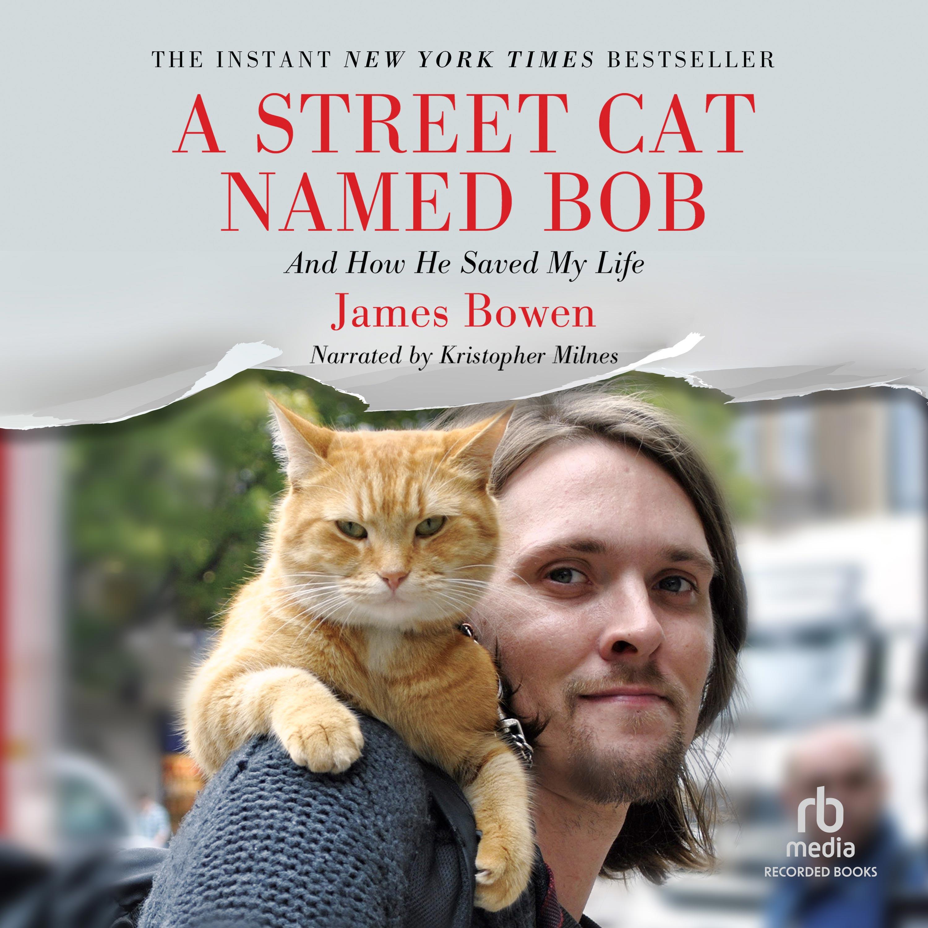 A Street Cat Named Bob