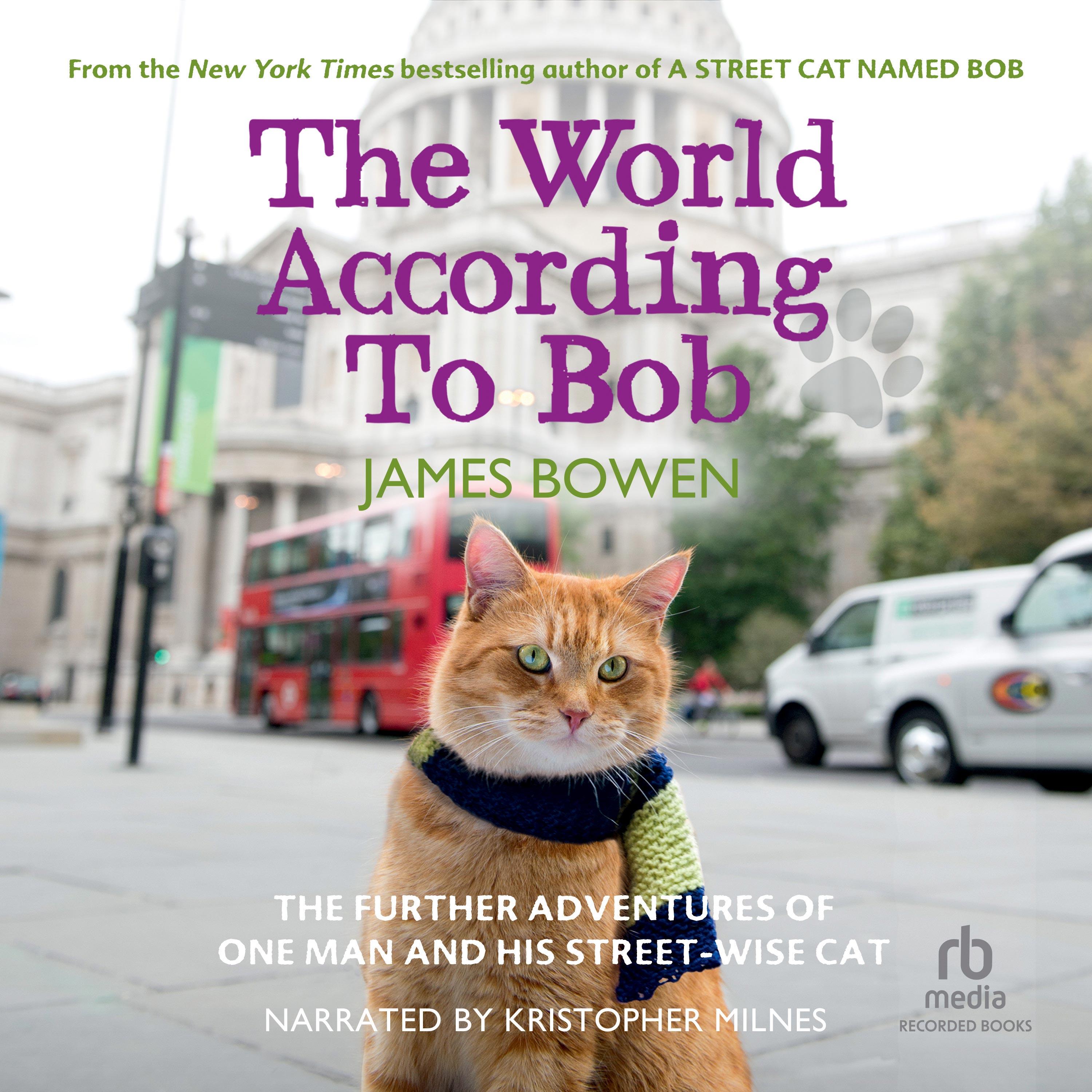 The World According to Bob