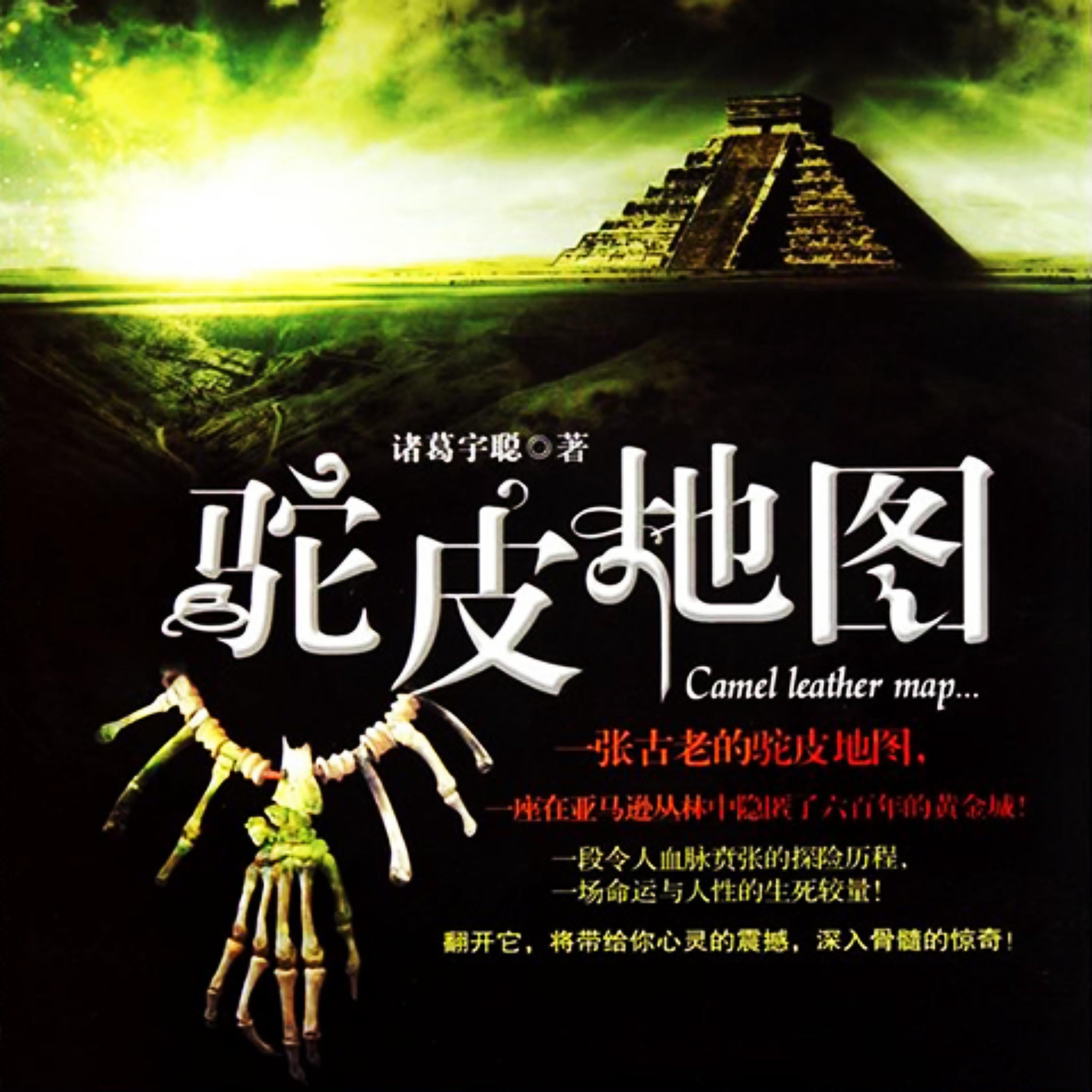 驼皮地图