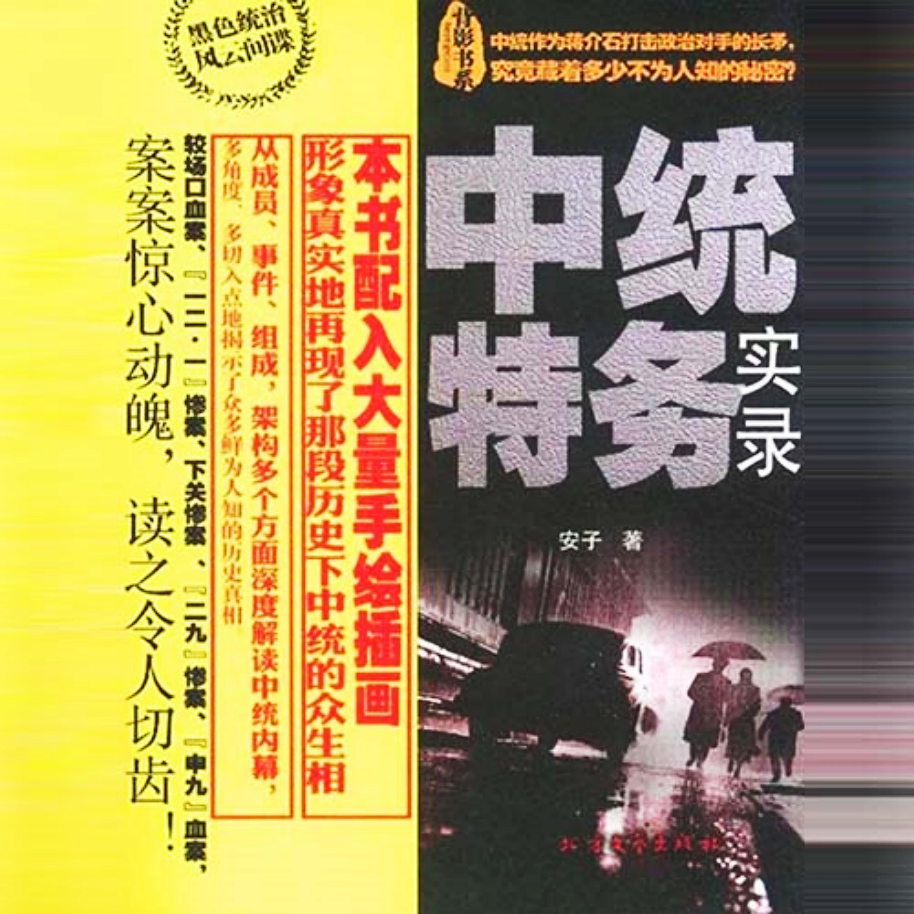 中统特务实录