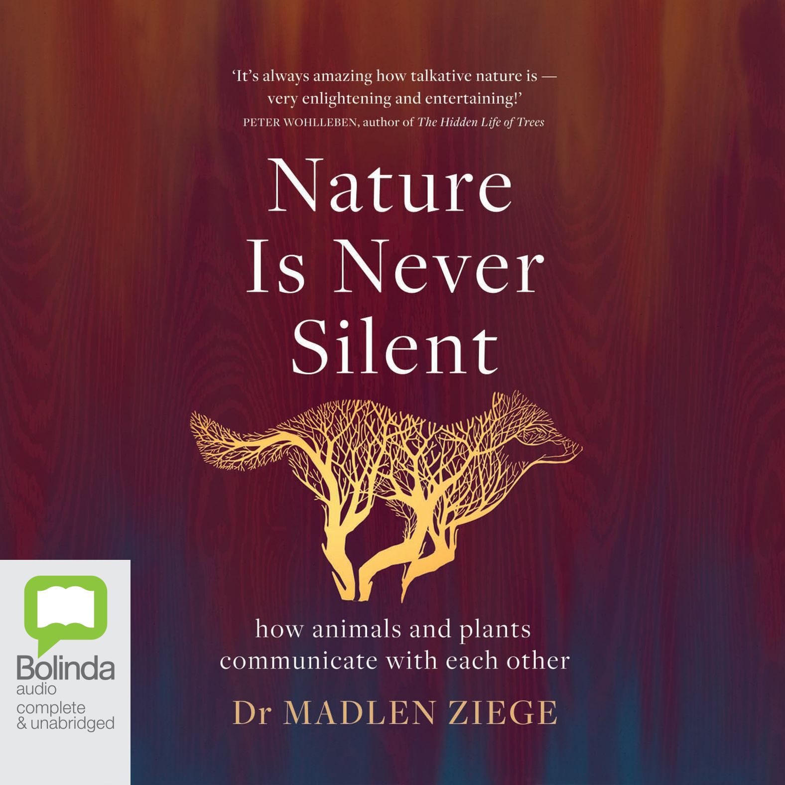 Nature Is Never Silent