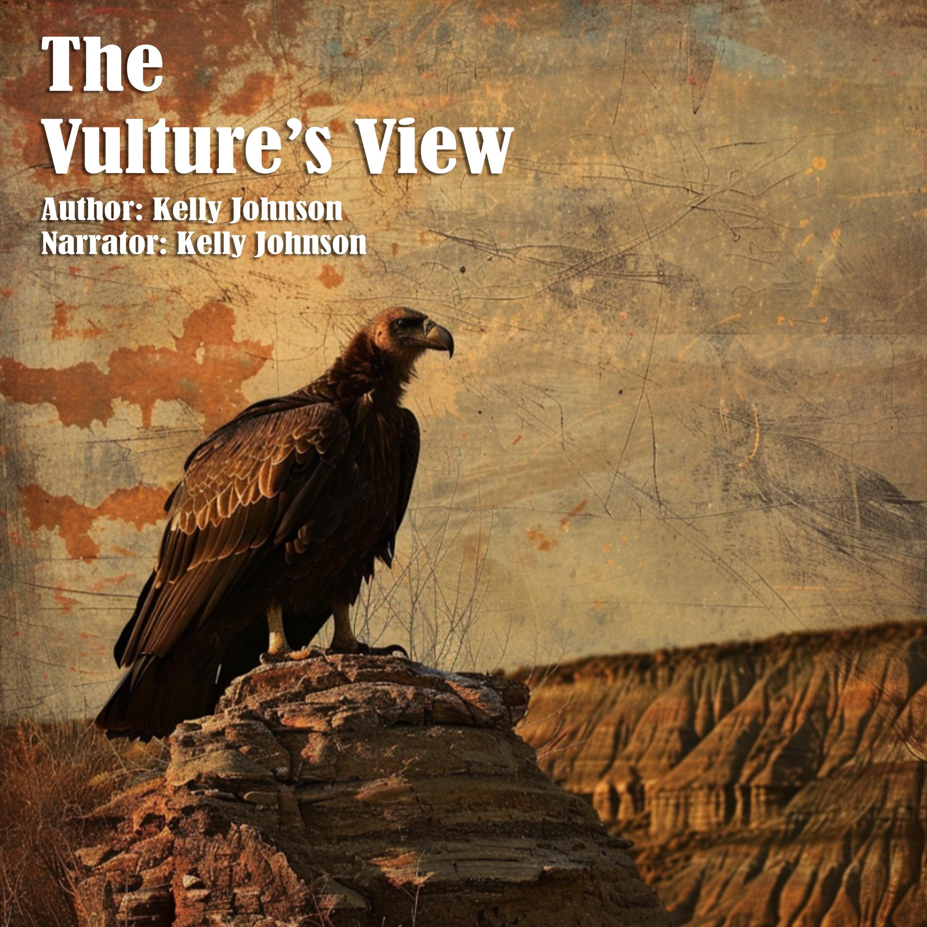 The Vulture's View