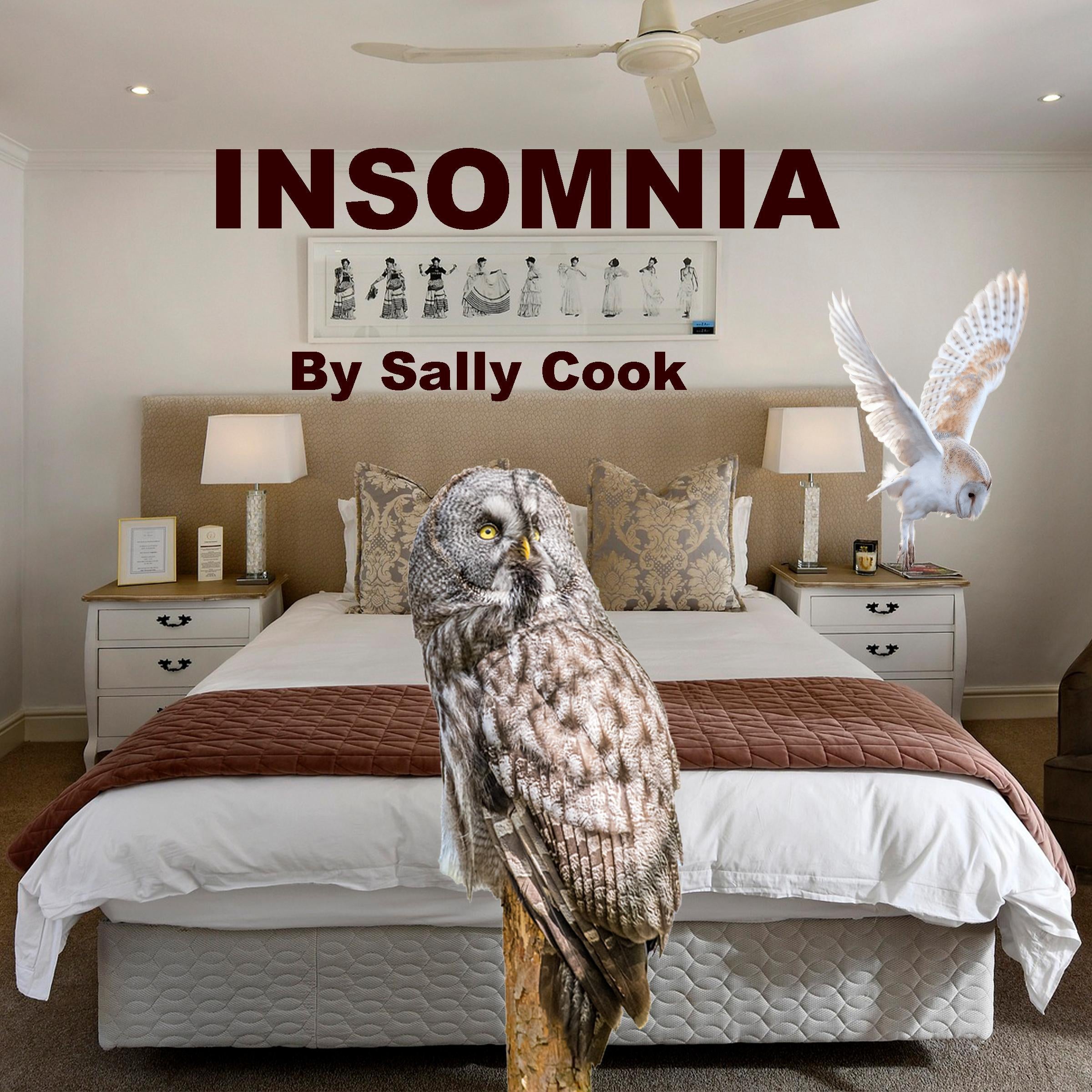 Insomnia