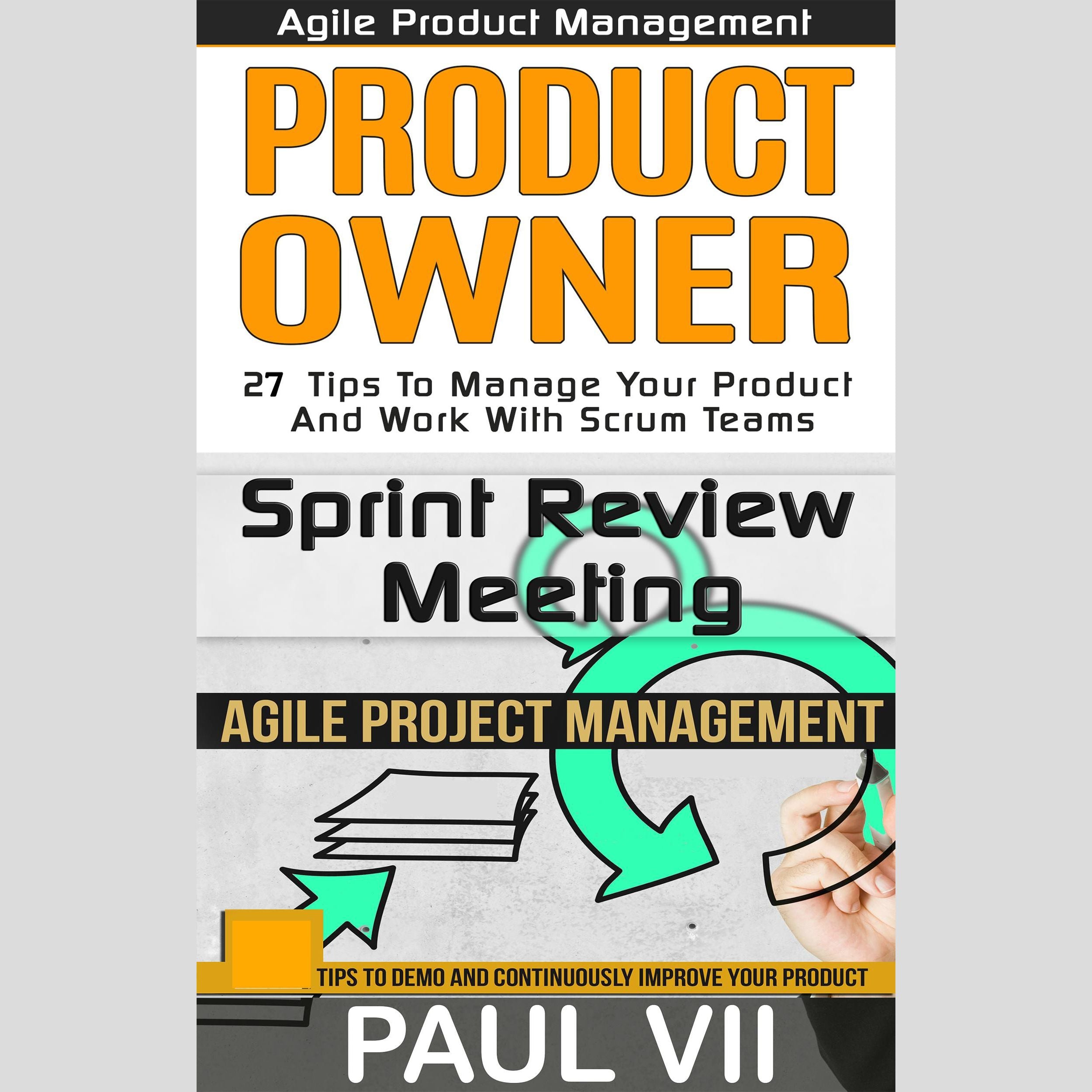 Agile Product Management: Box Set: Product Owner: 27 Tips & Sprint Review: 15 Tips