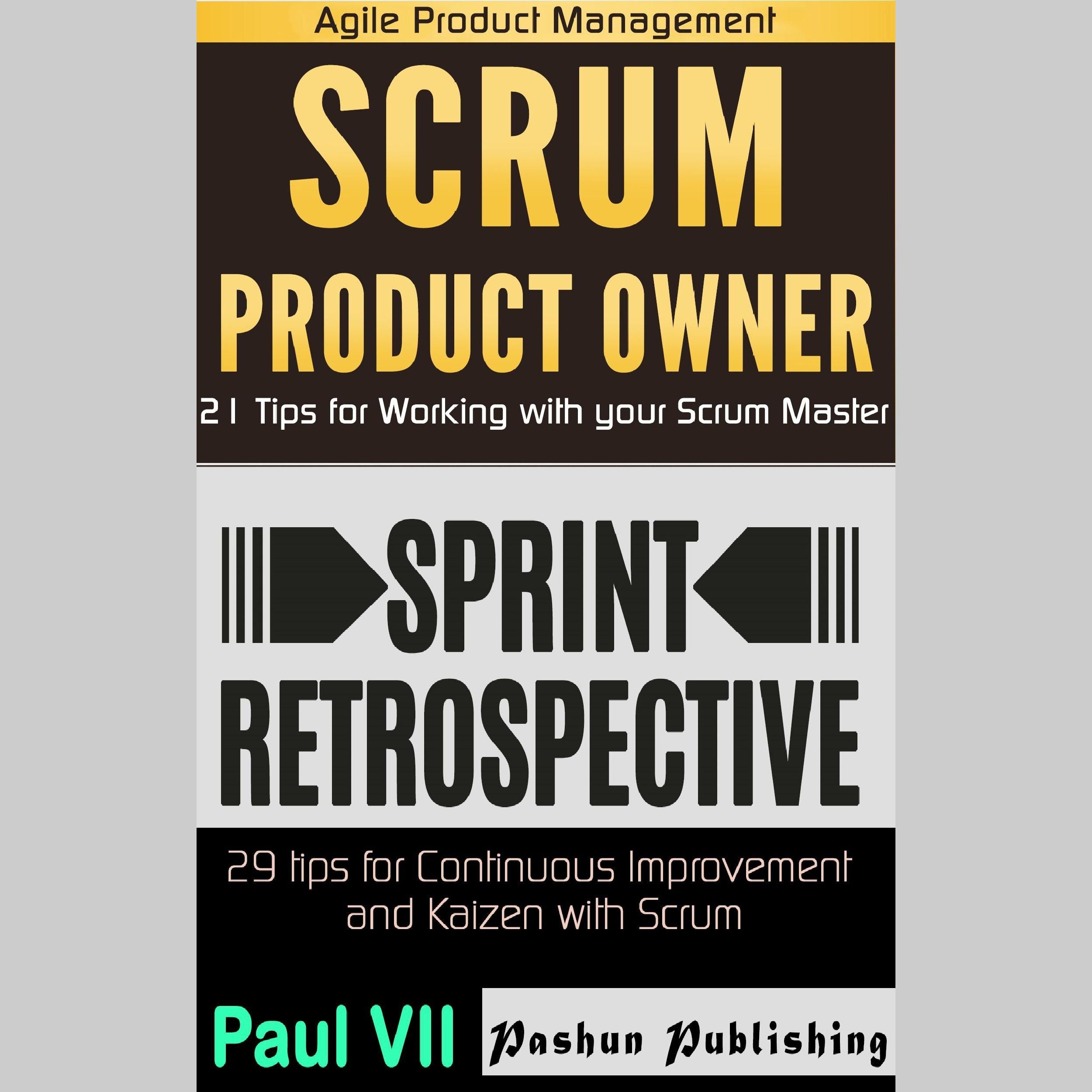 Agile Product Management: Scrum Product Owner: 21 Tips for Working with Your Scrum Master & Sprint Retrospective: 29 Tips for Continuous Improvement