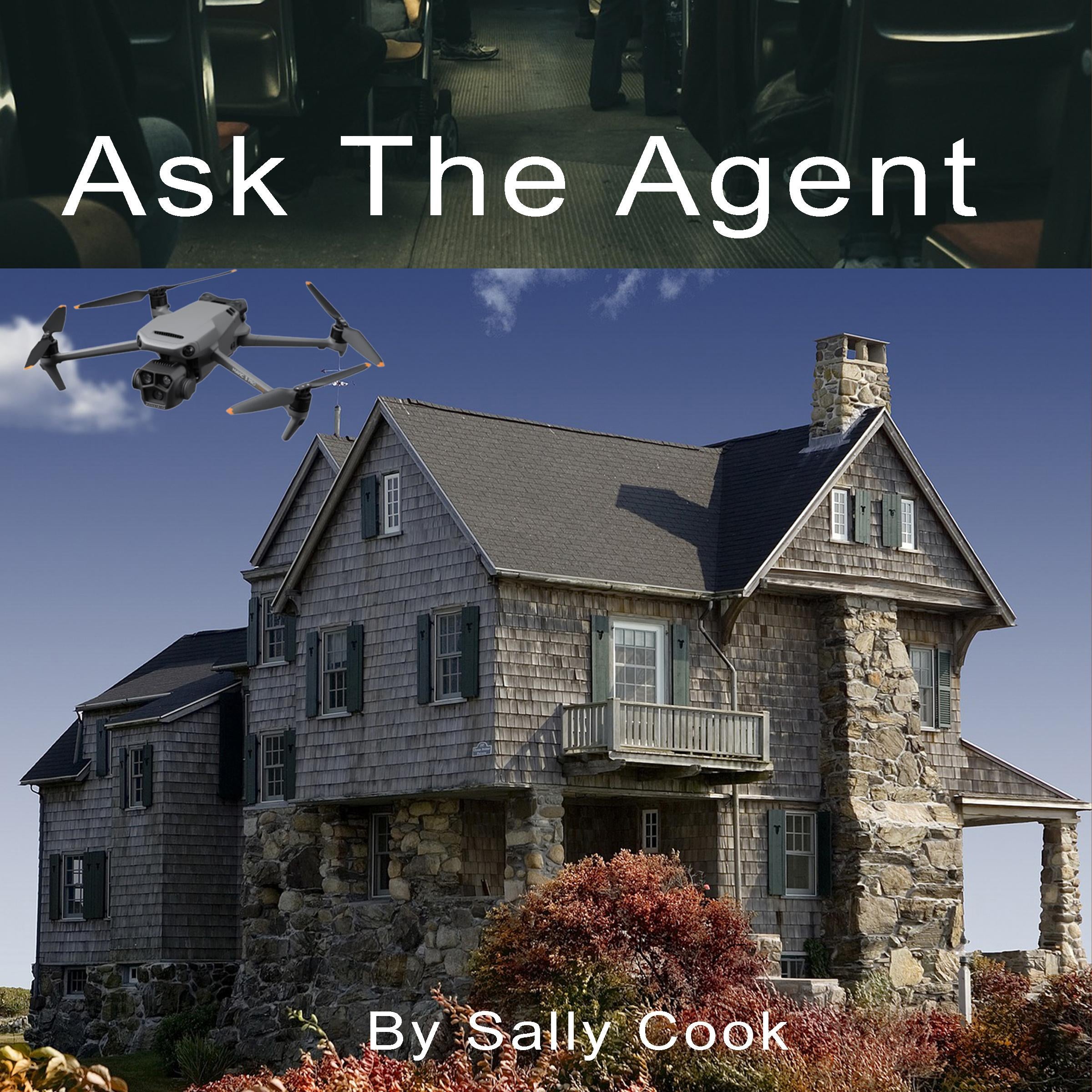 Ask The Agent