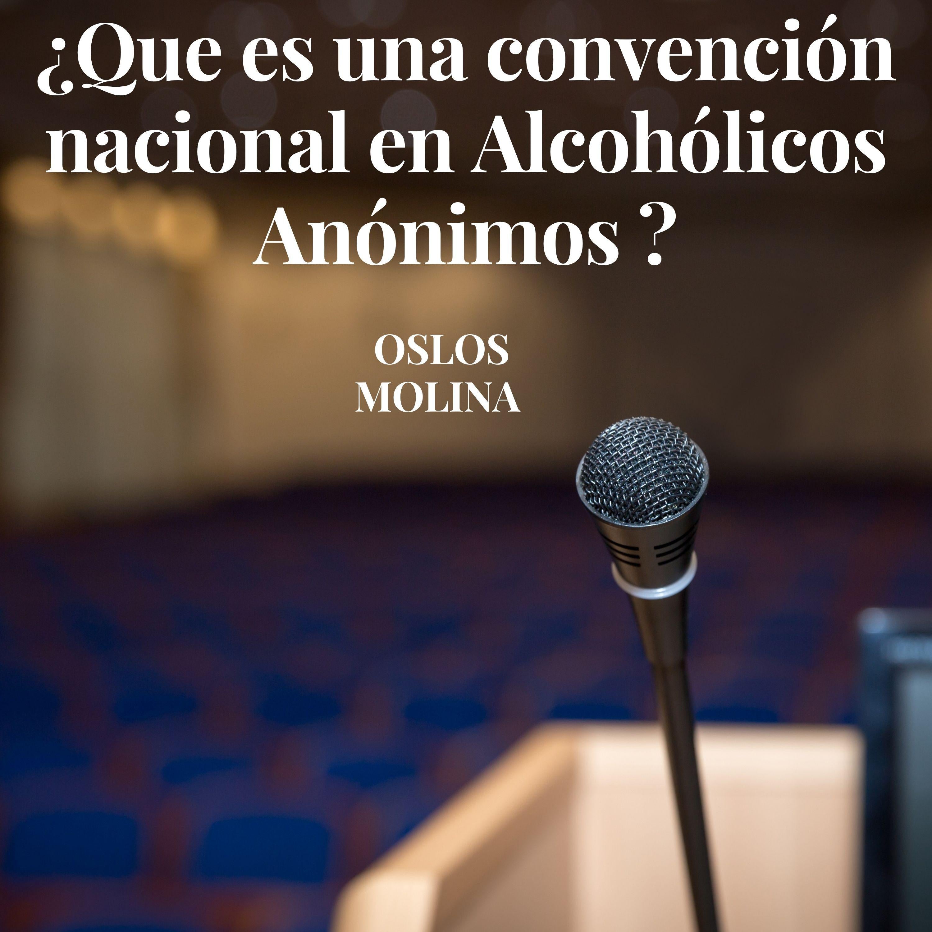 ¿Que es una convención nacional en Alcohólicos Anónimos ?