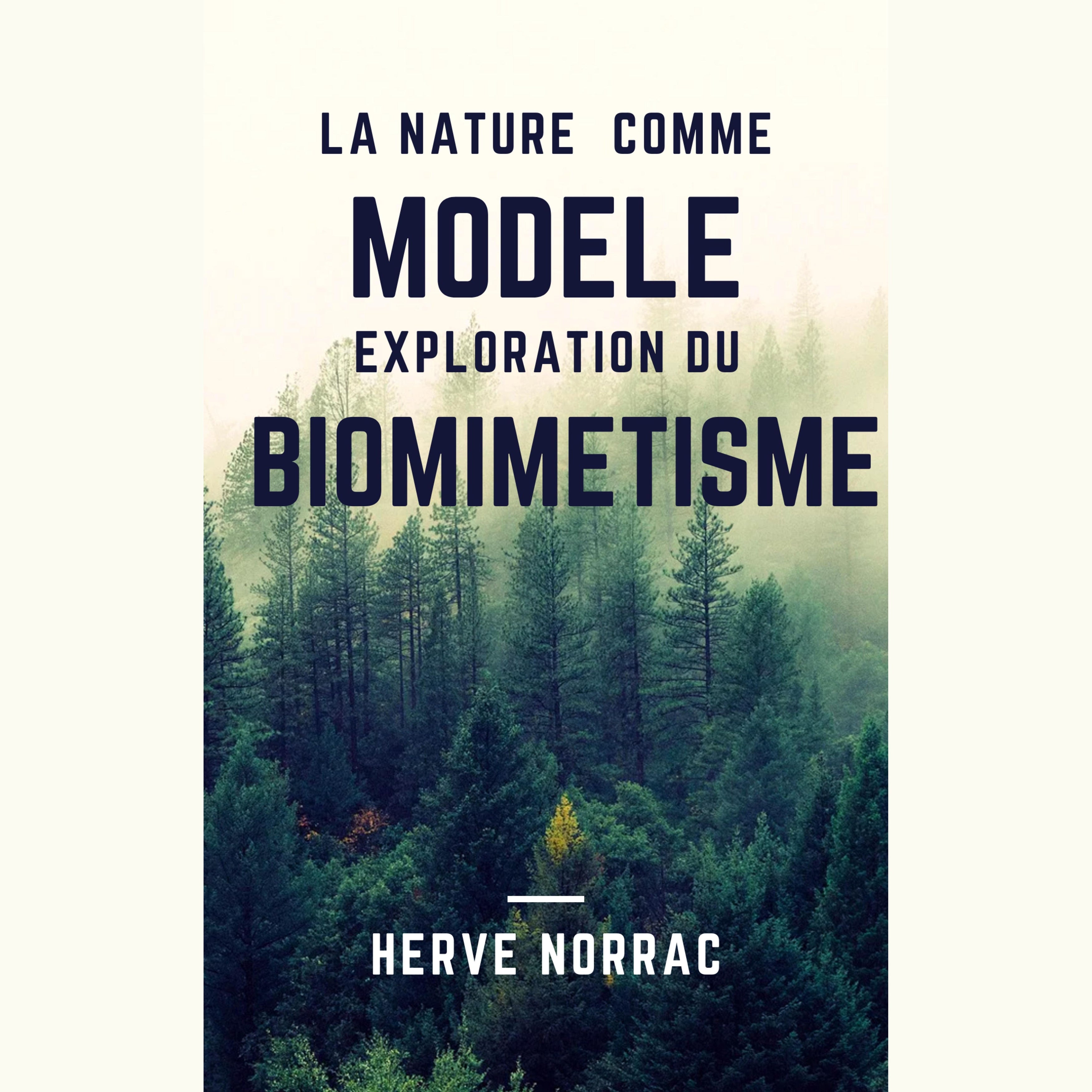 La Nature comme Modèle : Exploration du Biomimétisme